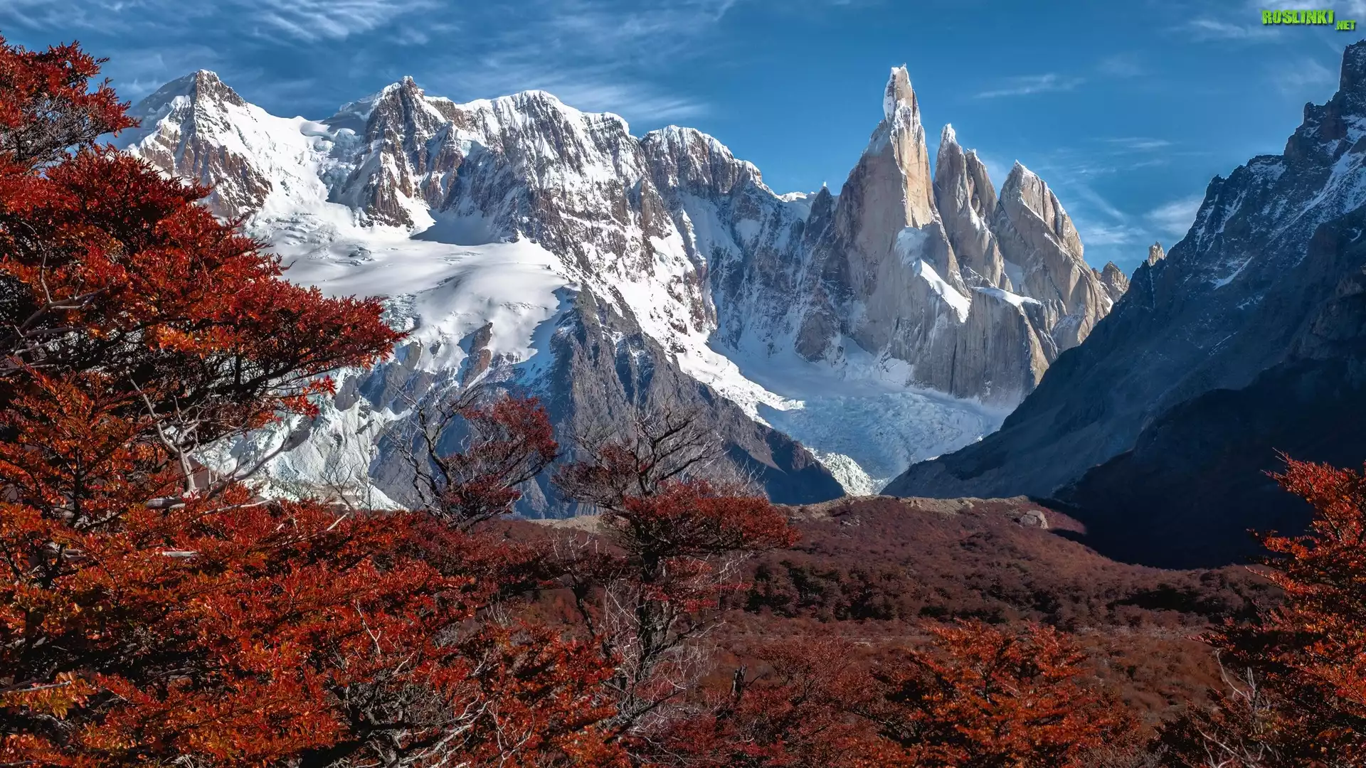 Argentyna, Patagonia, Góry, Andy, Ośnieżone, Jesień, Drzewa