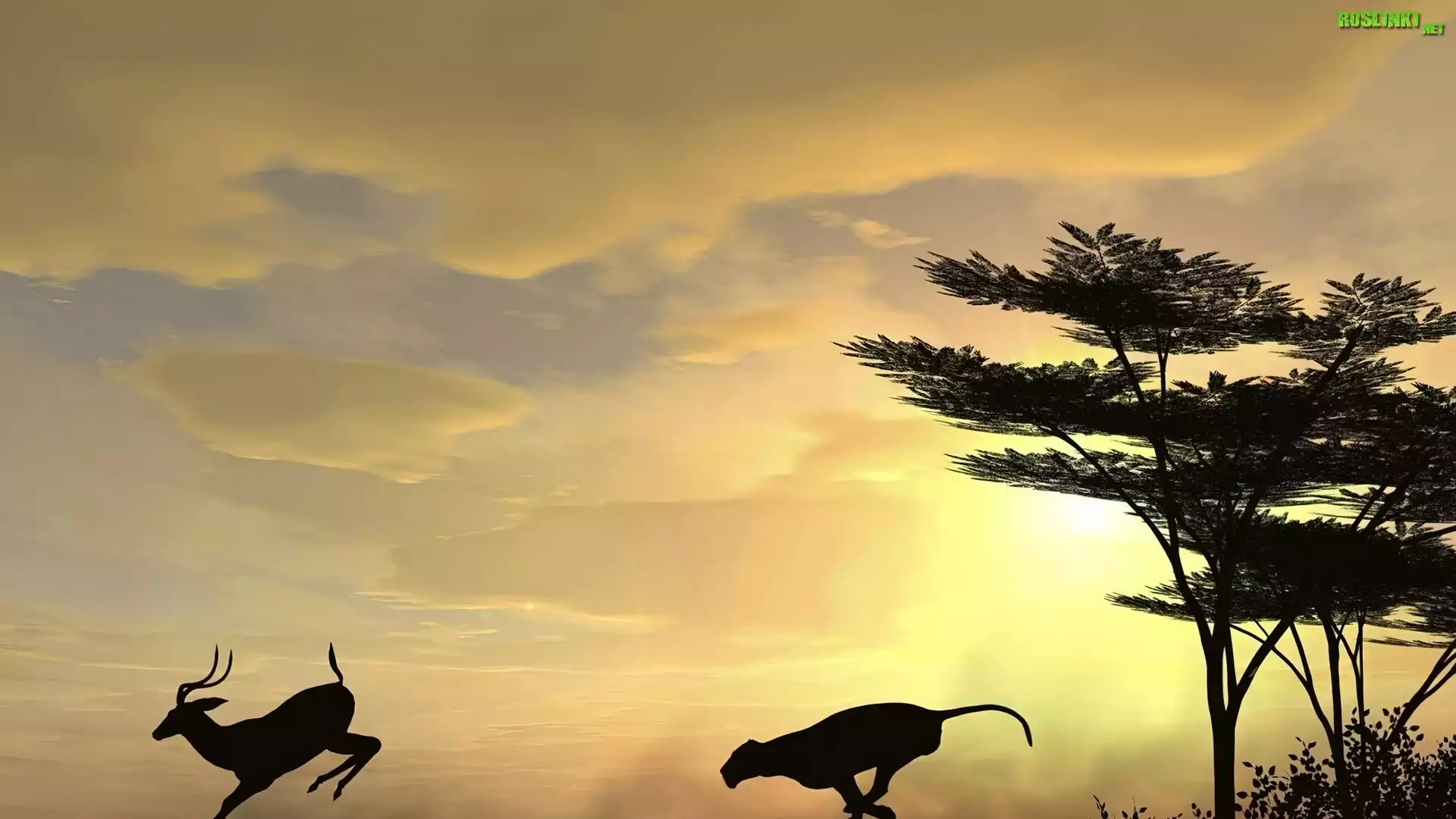 Antylopa, Gepard, Drzewa