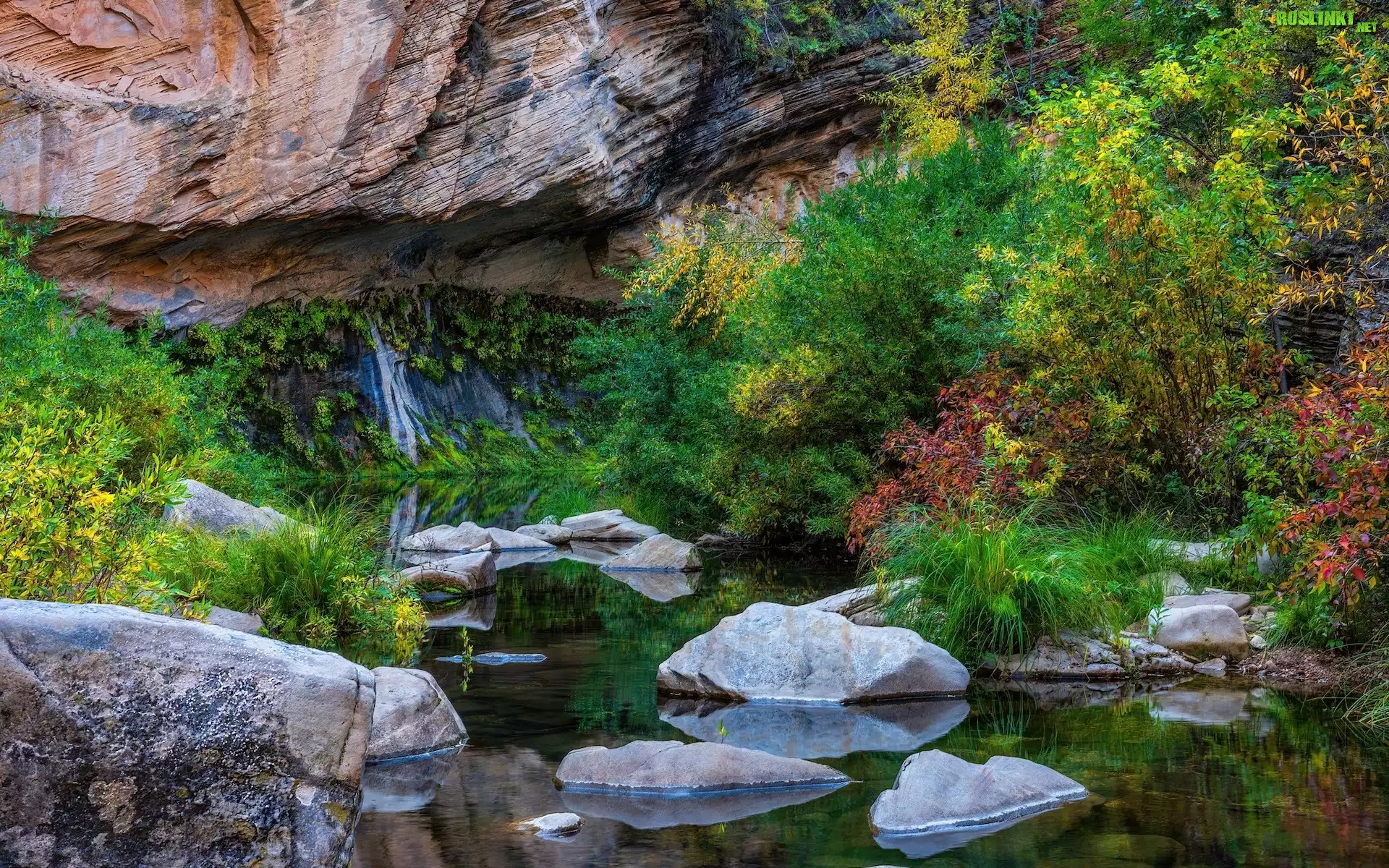 West Fork Oak Creek, Drzewa, Rzeka, Skały, Kamienie, Sedona, Arizona, Stany Zjednoczone
