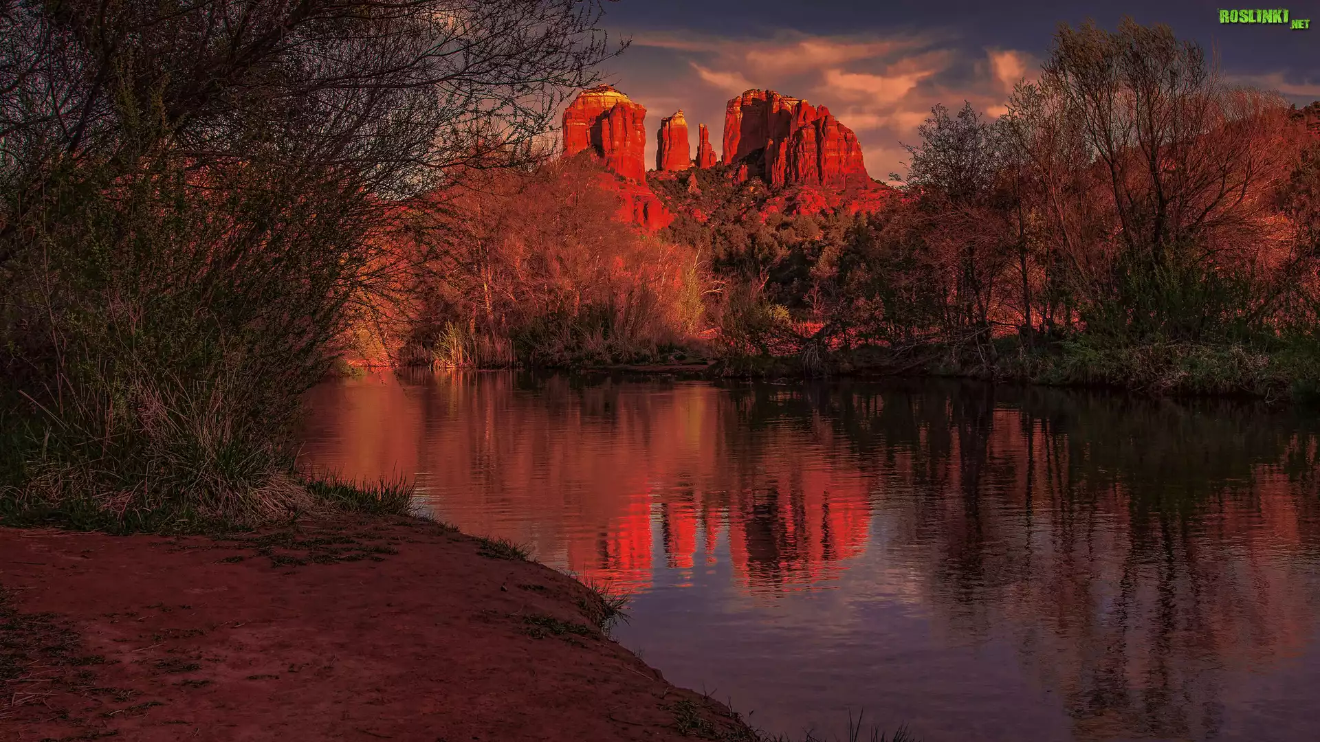 Góry, Czerwone, Skały, Cathedral Rock, Rzeka, Drzewa, Odbicie, Sedona, Arizona, Stany Zjednoczone