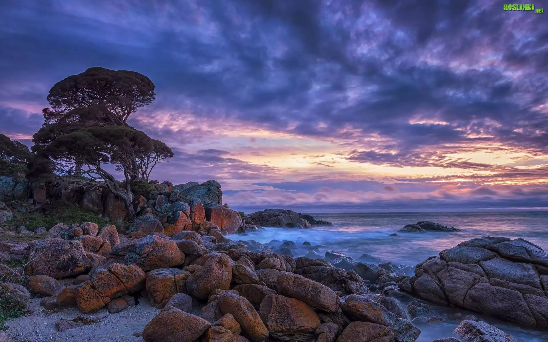 Wybrzeże, Shelley Cove, Skały, Kamienie, Morze, Drzewa, Niebo, Chmury, Australia