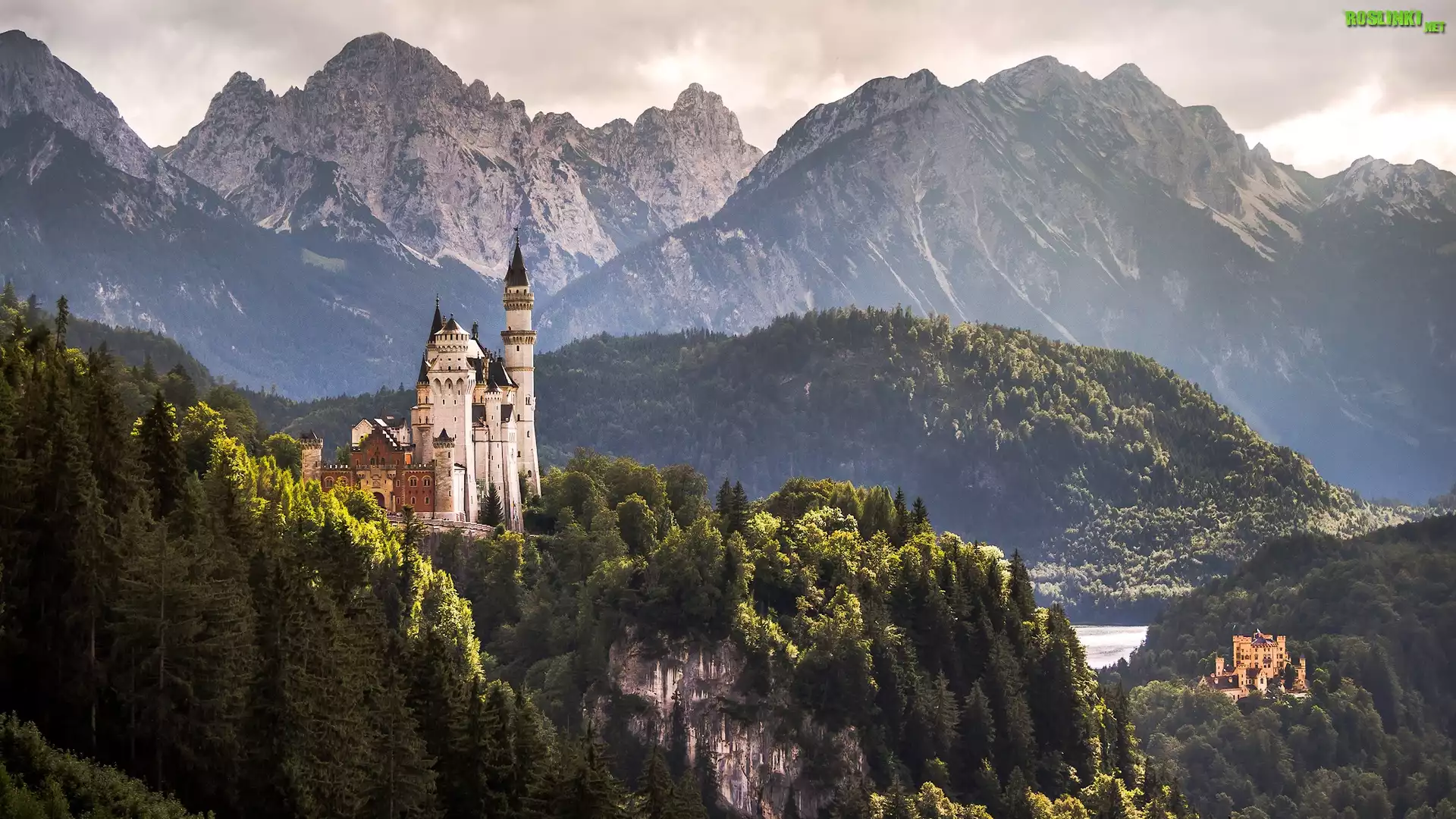 Niemcy, Bawaria, Zamek Neuschwanstein, Góry Alpy, Lasy, Drzewa