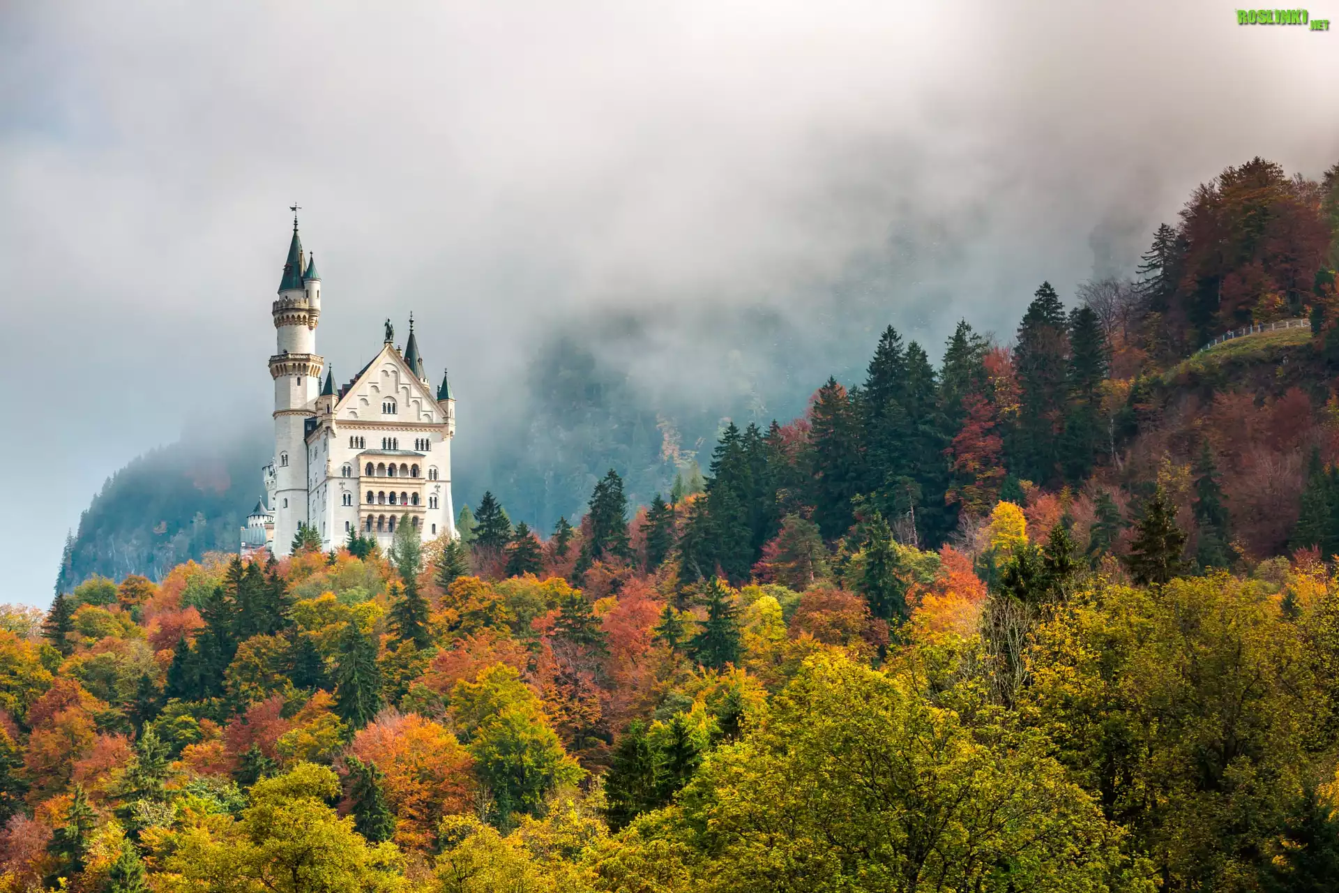 Niemcy, Bawaria, Zamek Neuschwanstein, Jesień, Mgła, Las, Drzewa