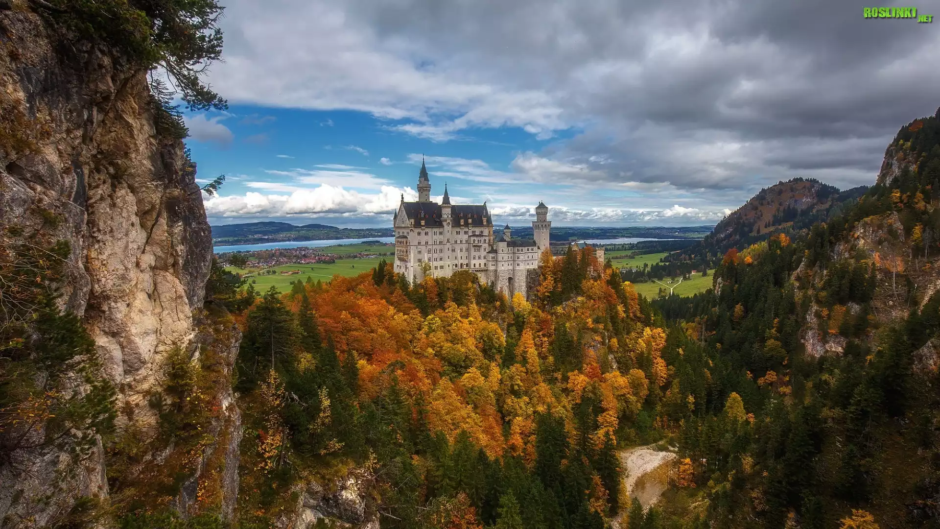 Niemcy, Bawaria, Zamek Neuschwanstein, Skały, Lasy, Drzewa