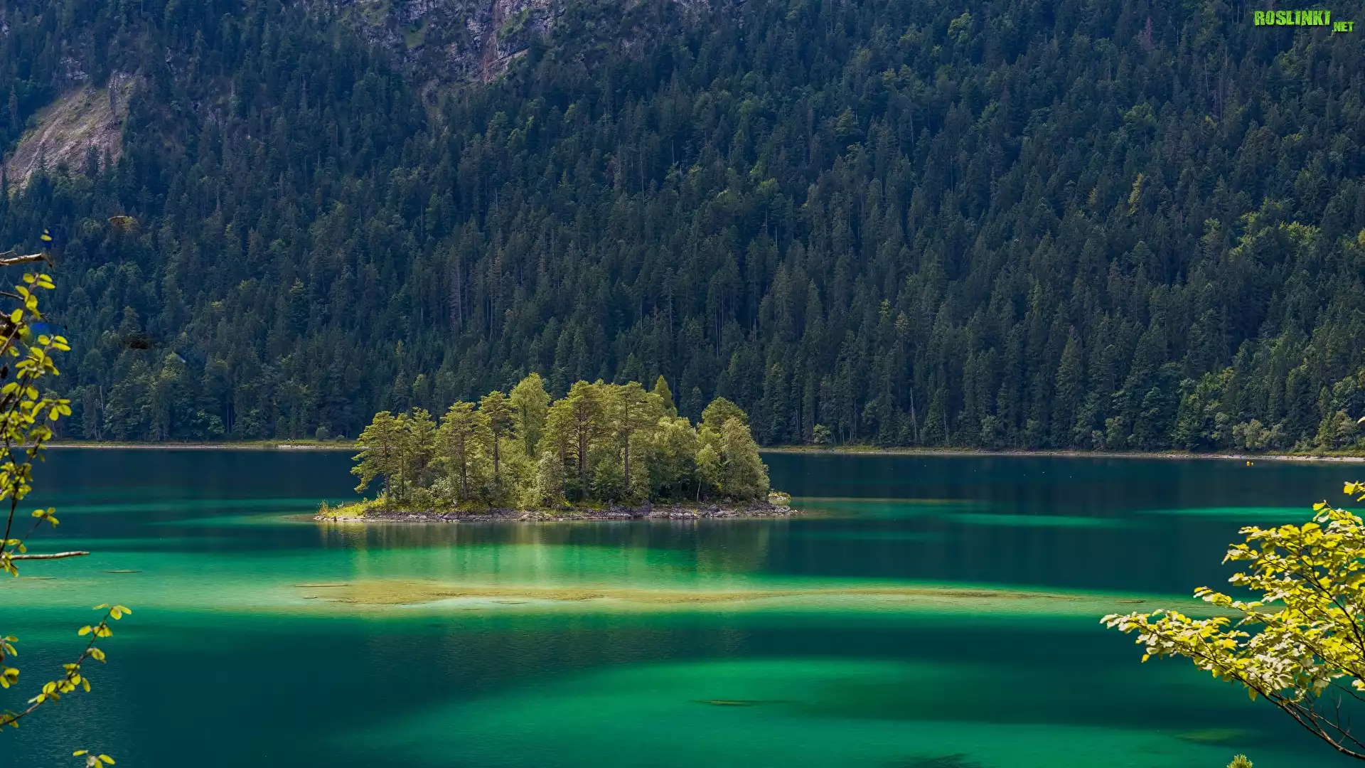 Niemcy, Bawaria, Jezioro Eibsee, Wyspa, Drzewa, Lasy