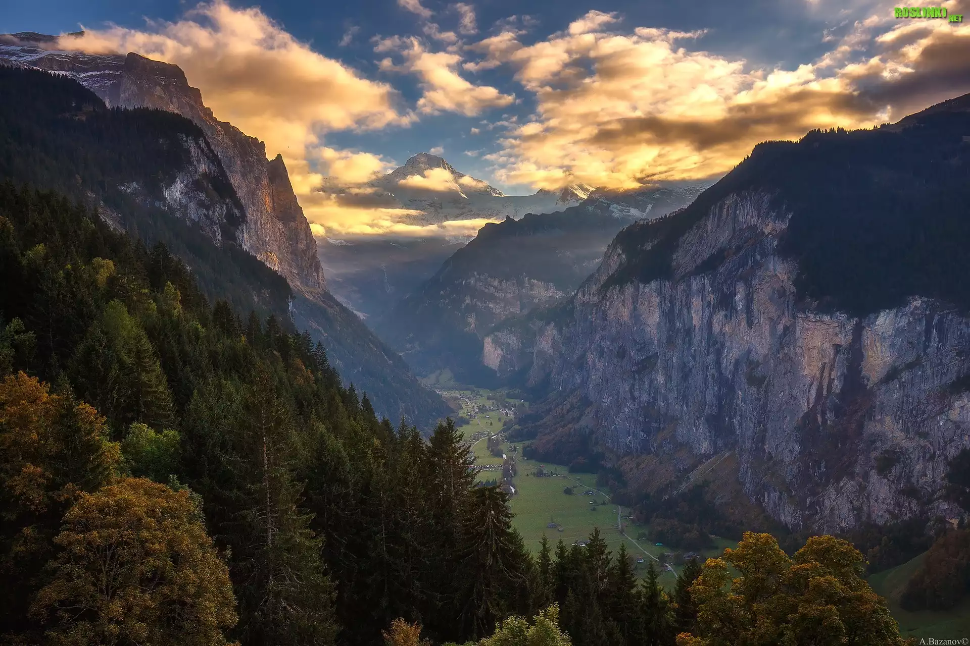 Szwajcaria, Kanton Berno, Dolina Lauterbrunnental, Góry Alpy, Drzewa, Chmury, Wschód słońca