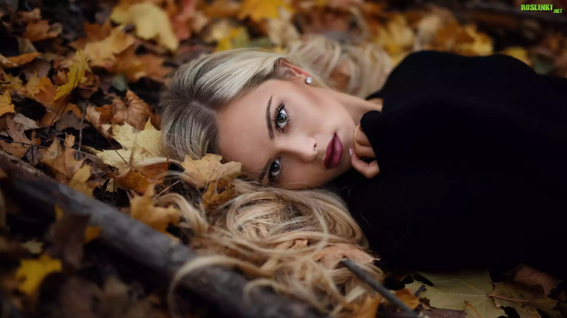 Kobieta, Blondynka, Liście