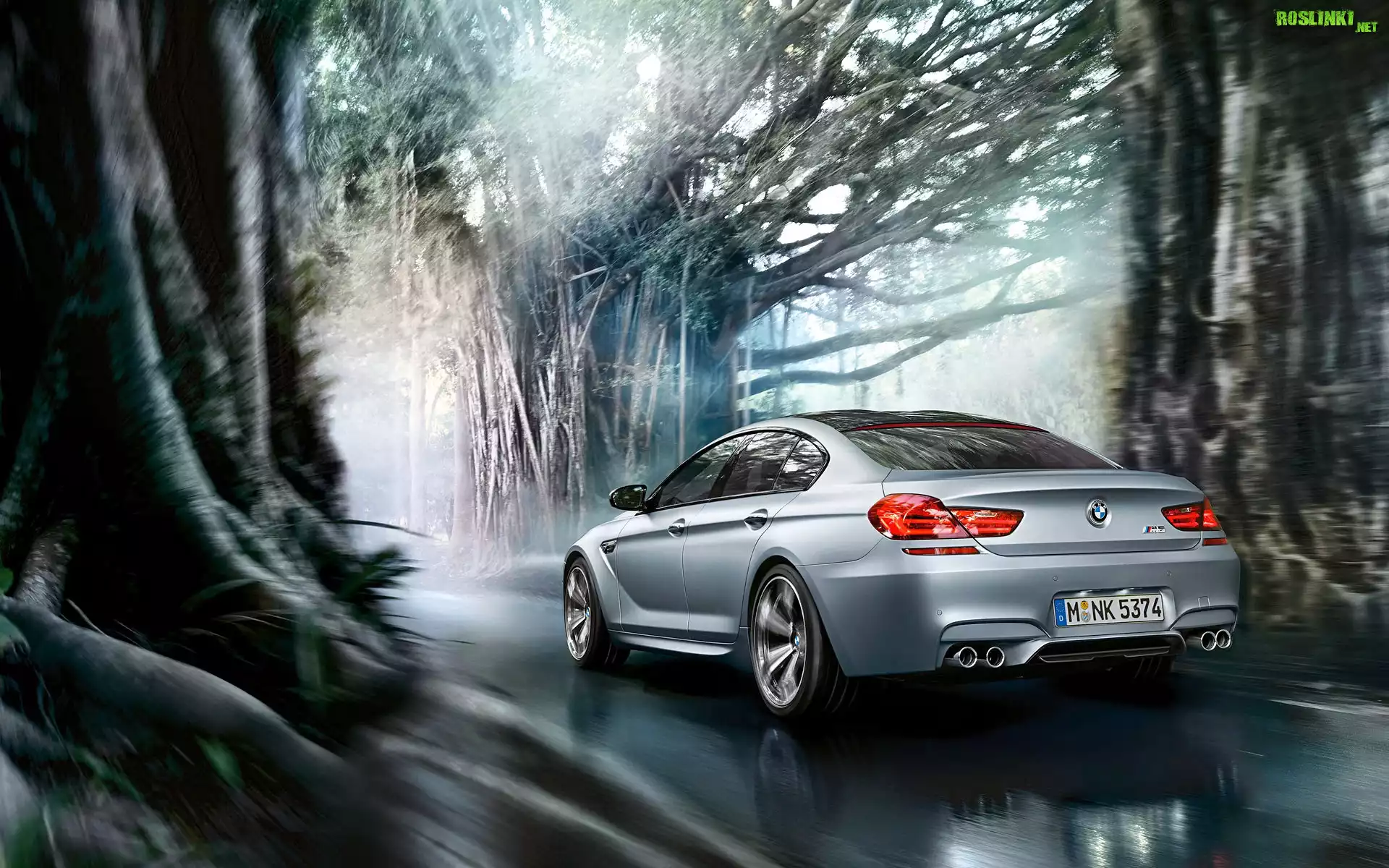 Bmw M6, Droga, Drzewa