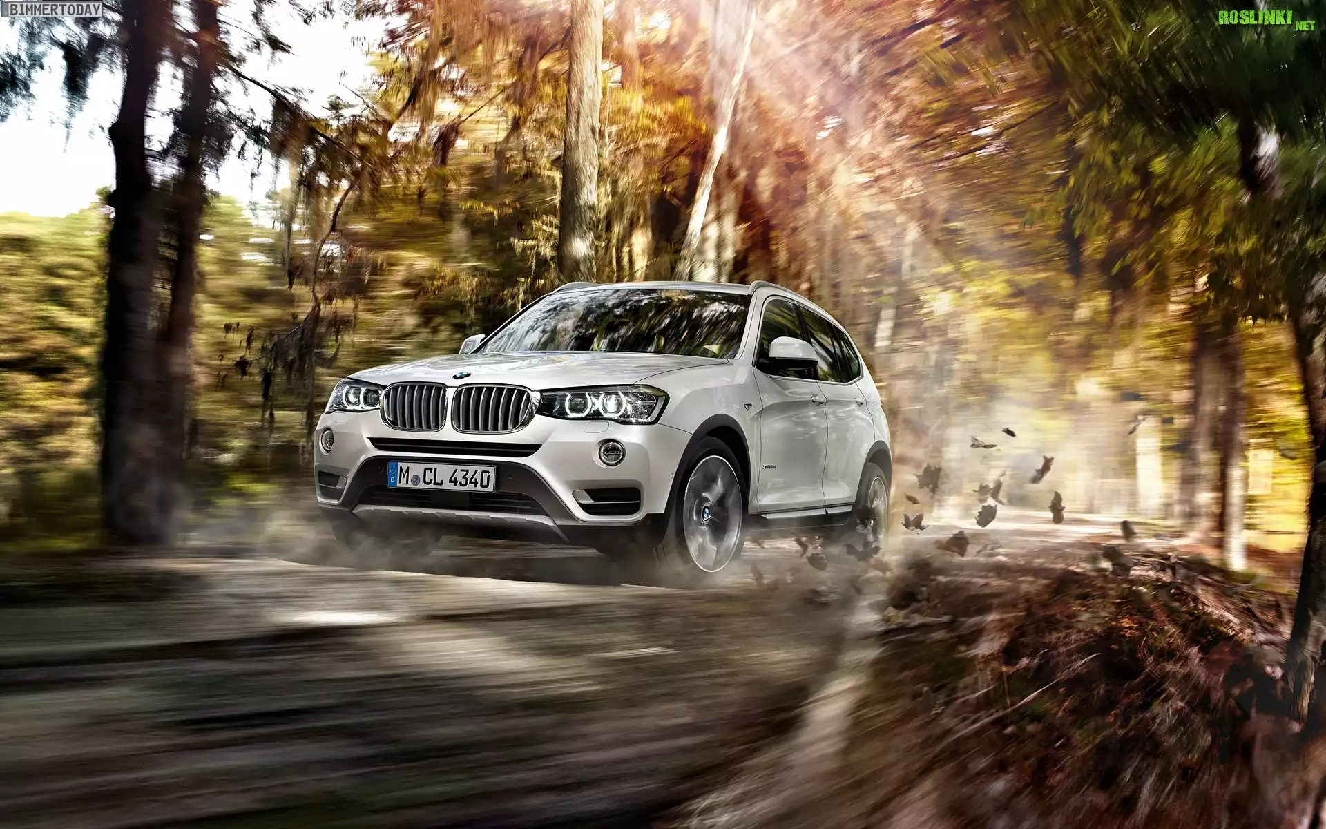 Bmw X3, Droga, Drzewa