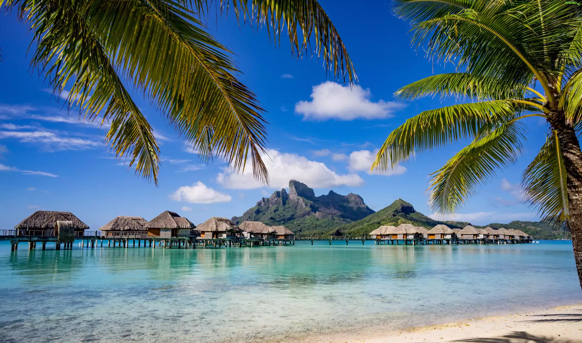 Bora Bora, Palmy, Domki, Góra Otemanu, Wyspa