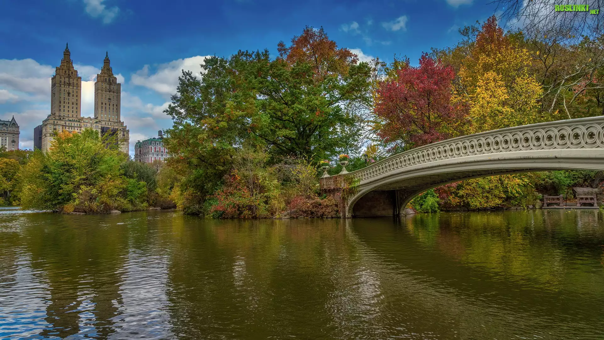 Nowy Jork, Manhattan, Central Park, Budynek Eldorado, Drzewa, Jezioro, Most, Stany Zjednoczone