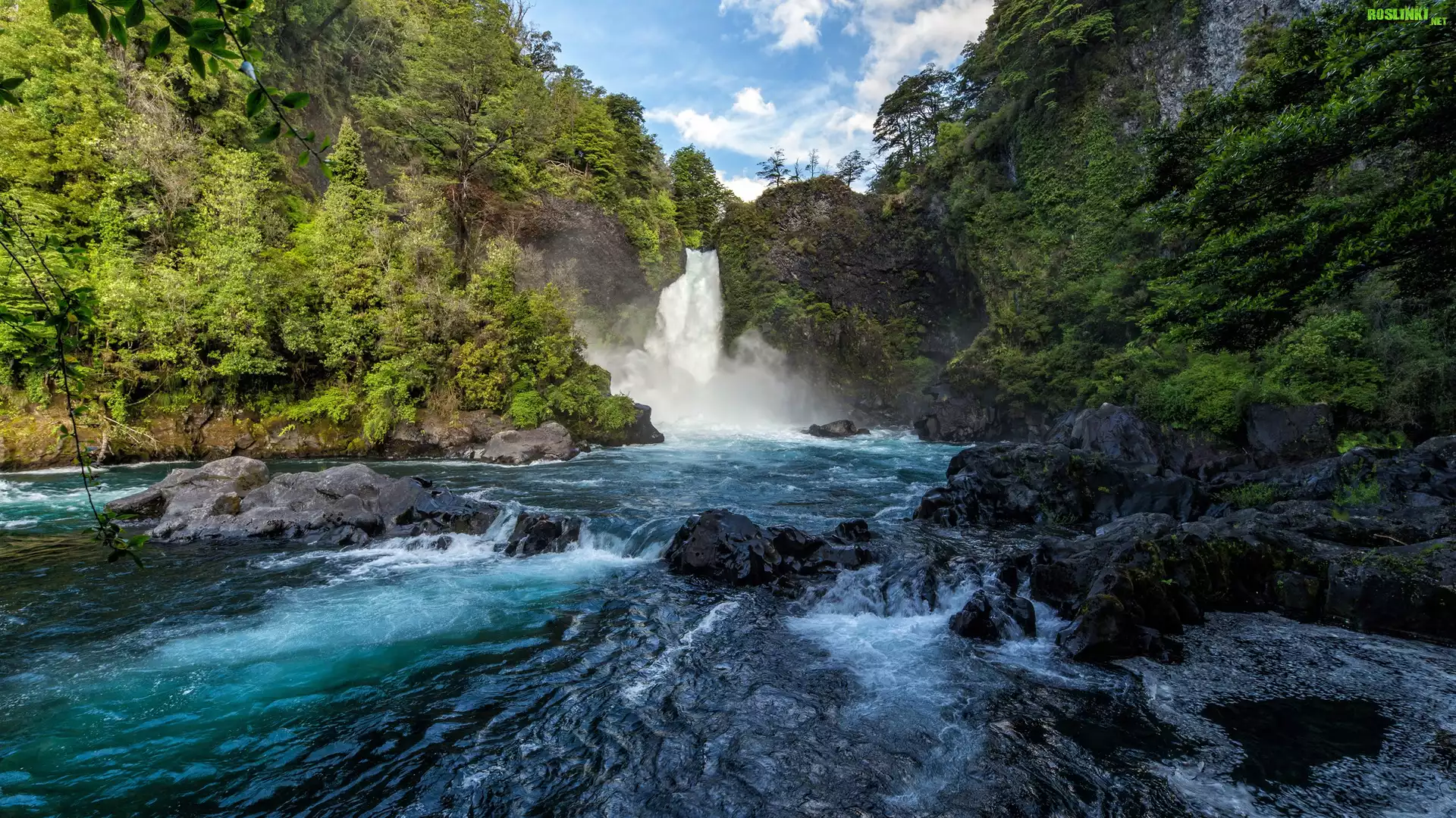 Rzeka, Kamienie, Drzewa, Wodospad Huilo-Huilo Falls, Panguipulli, Chile