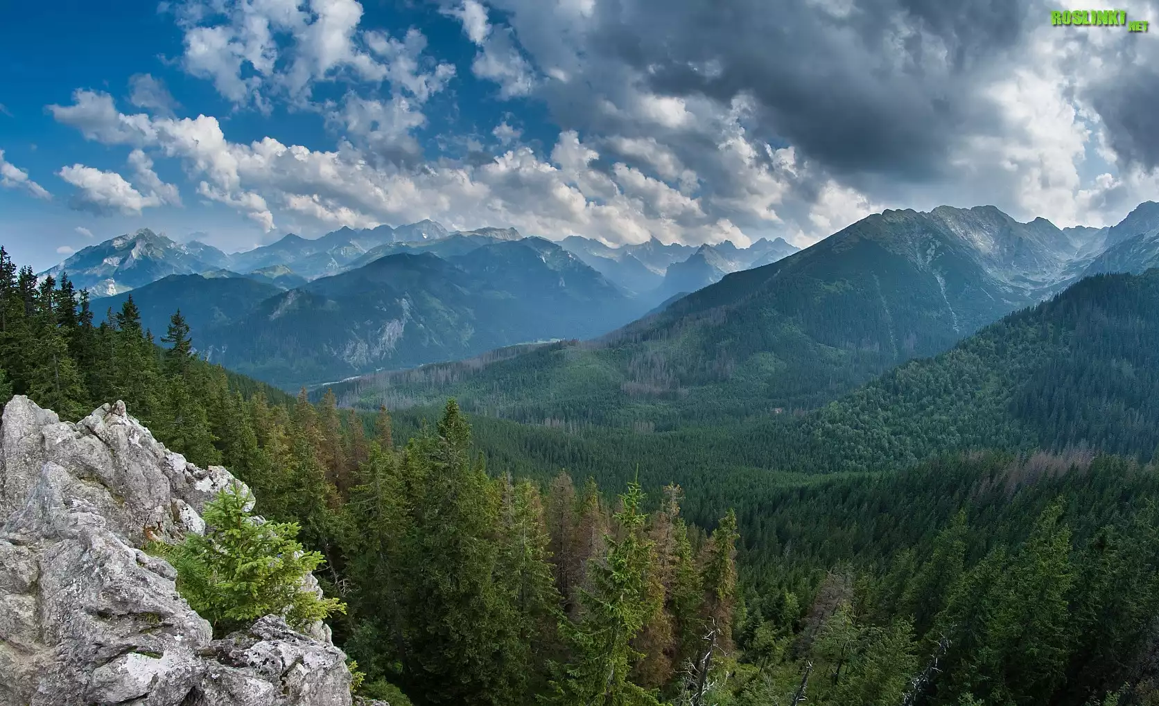 Góry, Chmury, Drzewa