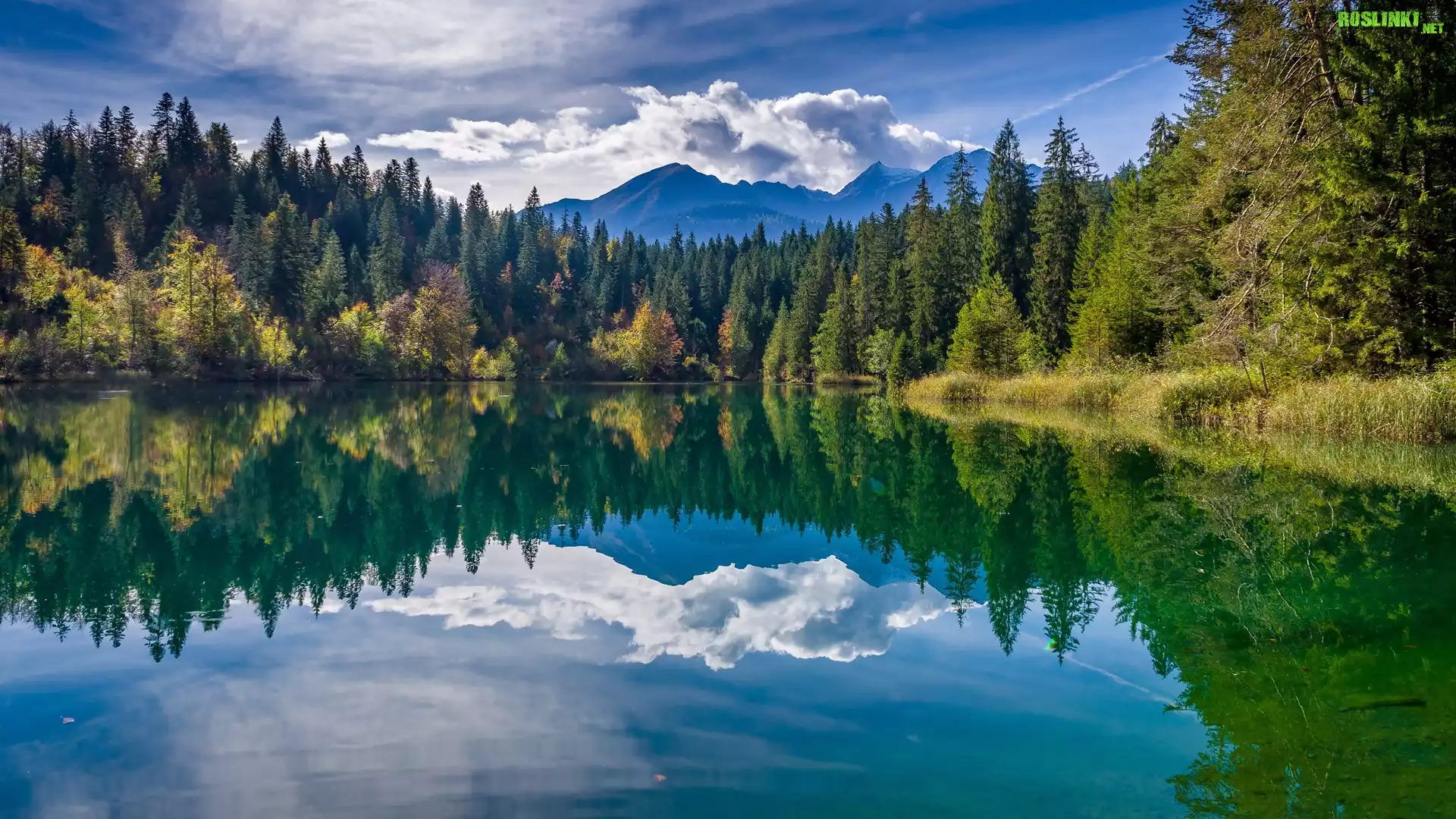 Szwajcaria, Kanton Gryzonia, Góry, Jezioro, Lake Cresta, Drzewa, Chmury