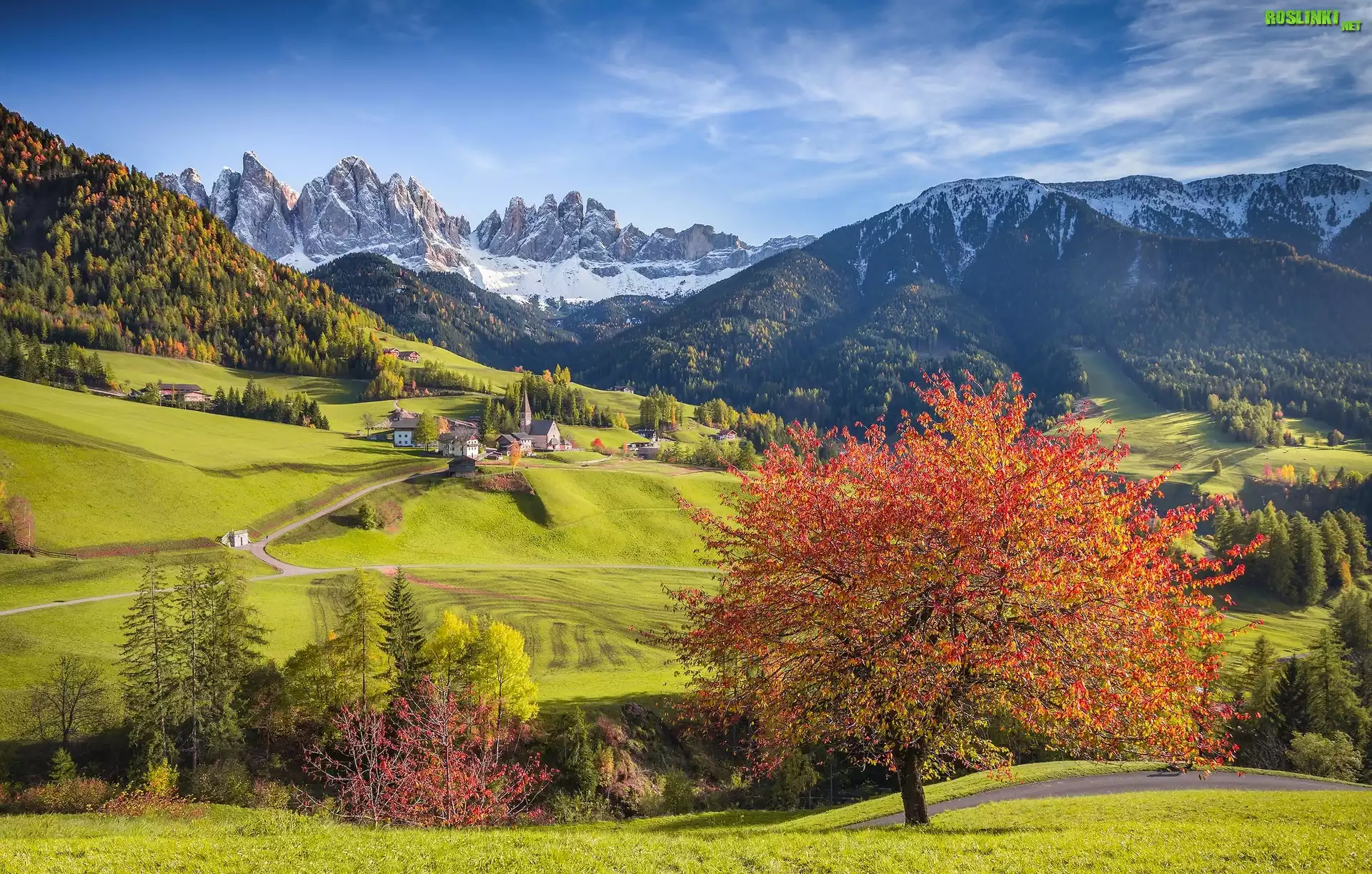 Włochy, Santa Maddalena, Dolina Val di Funes, Góry Dolomity, Wzgórza, Drzewa, Domy