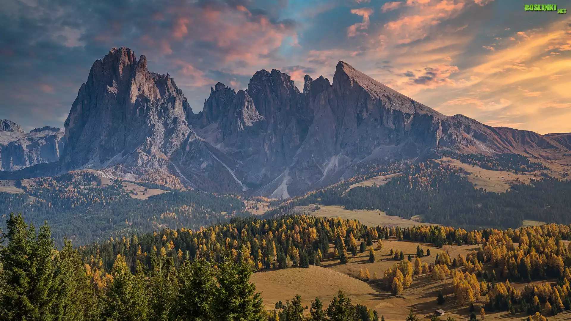 Góry Sassolungo, Dolina Val Gardena, Drzewa, Jesień, Płaskowyż Seiser Alm, Włochy