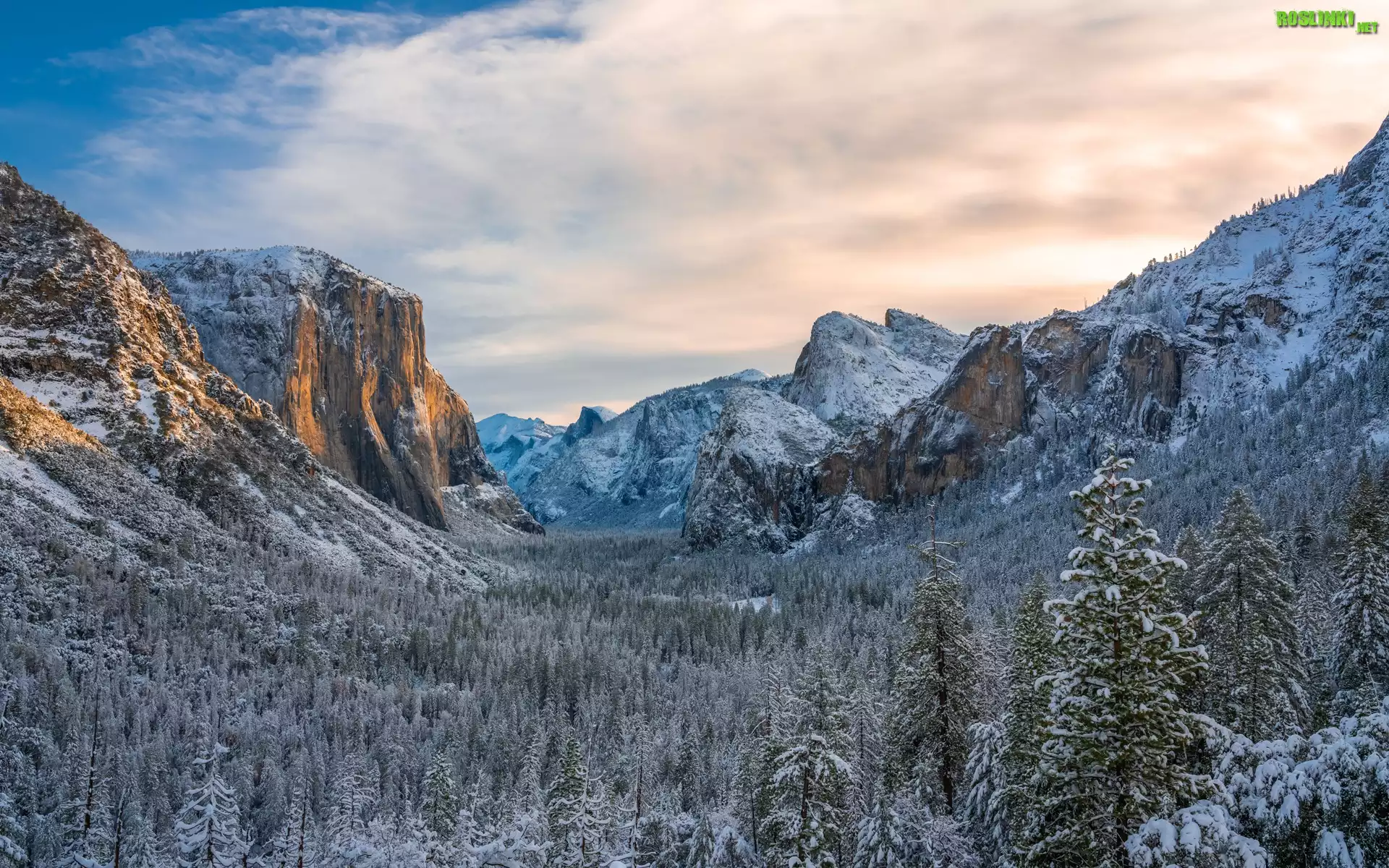 Dolina, Yosemite Valley, Park Narodowy Yosemite, Zima, Ośnieżone, Góry, Drzewa, Lasy, Stan Kalifornia, Stany Zjednoczone