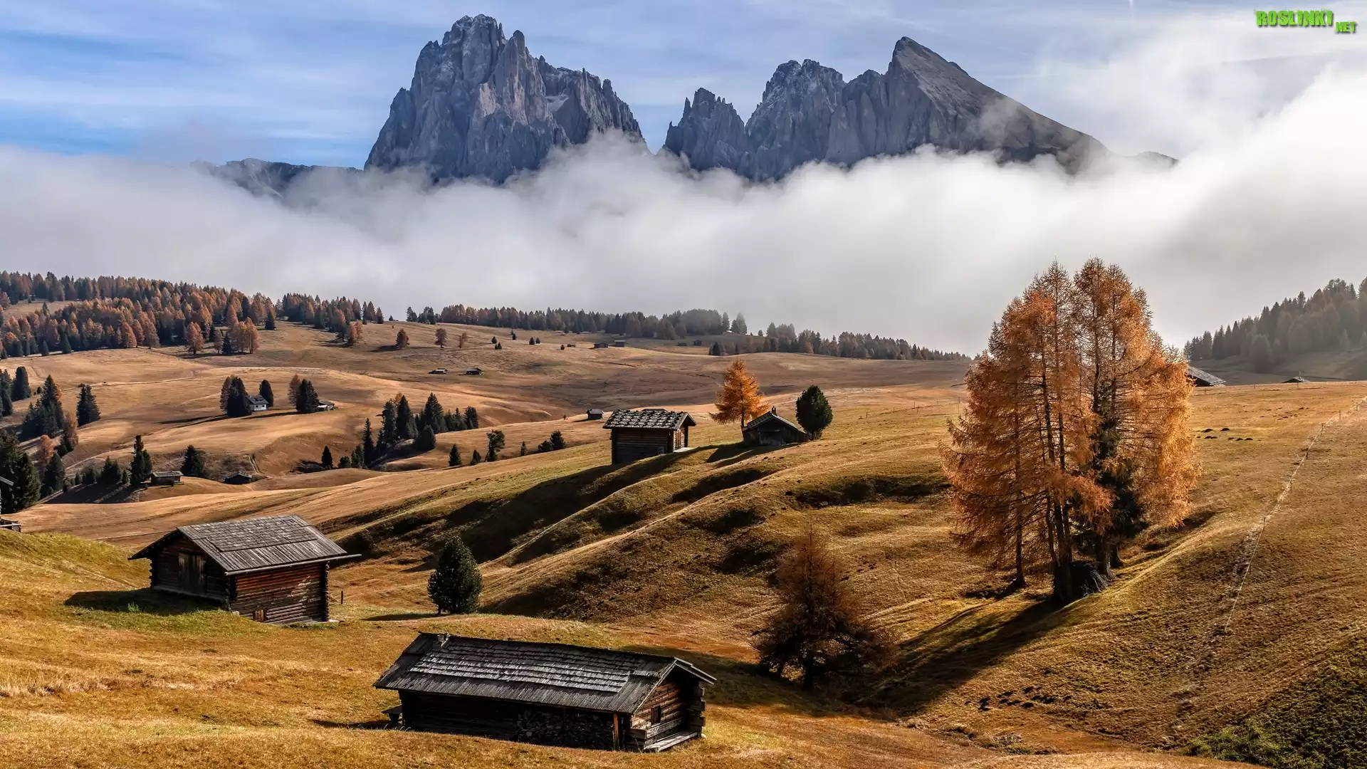 Włochy, Płaskowyż Seiser Alm, Dolina Val Gardena, Góry Sassolungo, Dolomity, Domy, Drzewa, Mgła, Jesień