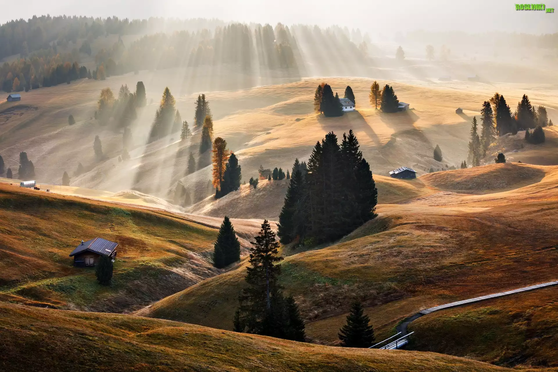 W³ochy, Dolomity, Dolina, ¦wit, Promienie s³oñca, Domy, Drzewa