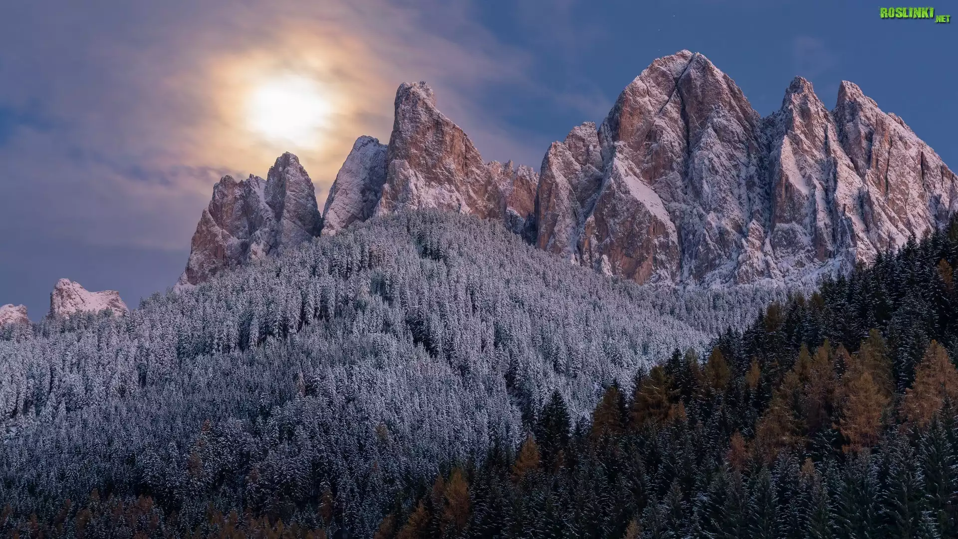Góry, Dolomity, Szczyty, Drzewa, Księżyc
