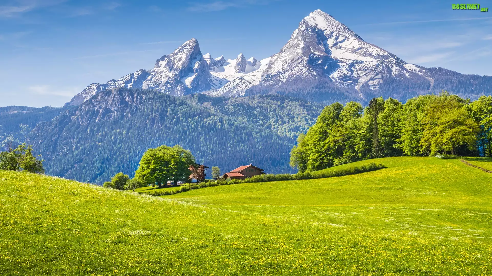 Park Narodowy Berchtesgaden, Góry Alpy, Bawaria, Niemcy, Las, Drzewa, Dom