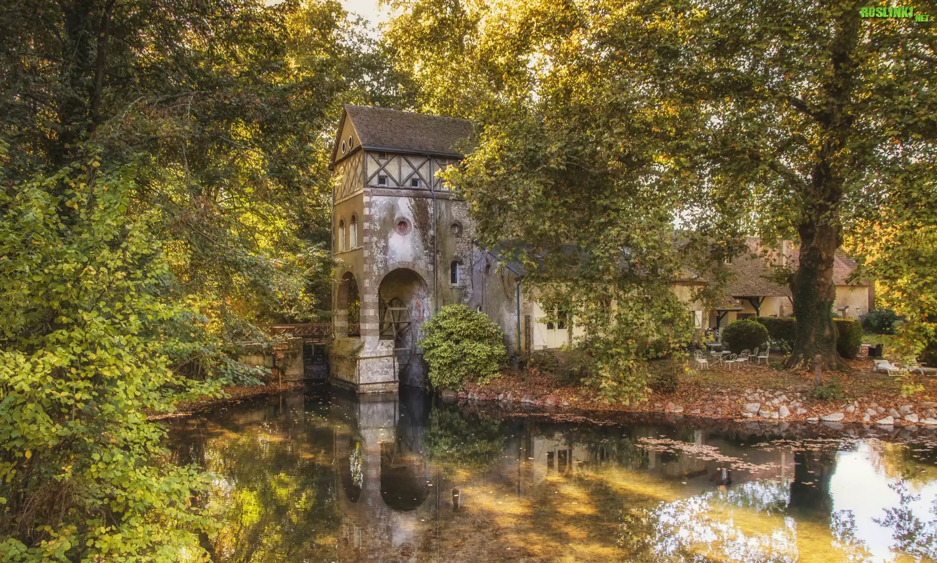 Dom, Budowla, Park, Staw, Drzewa