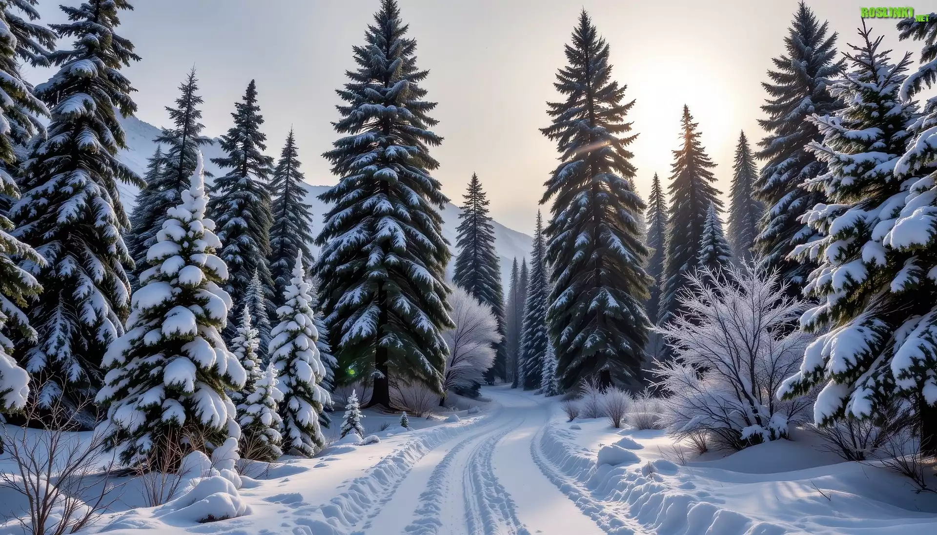 Zima, Droga, Las, Drzewa, Grafika AI