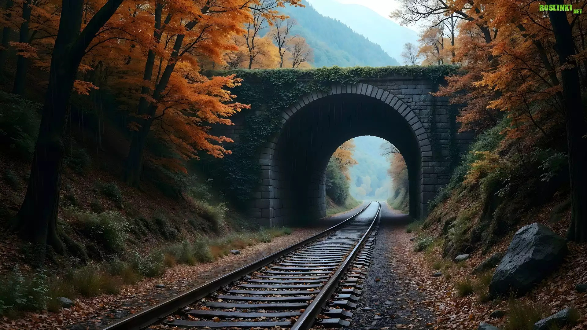 Most, Kamienny, Tory, Drzewa, Jesień, AI