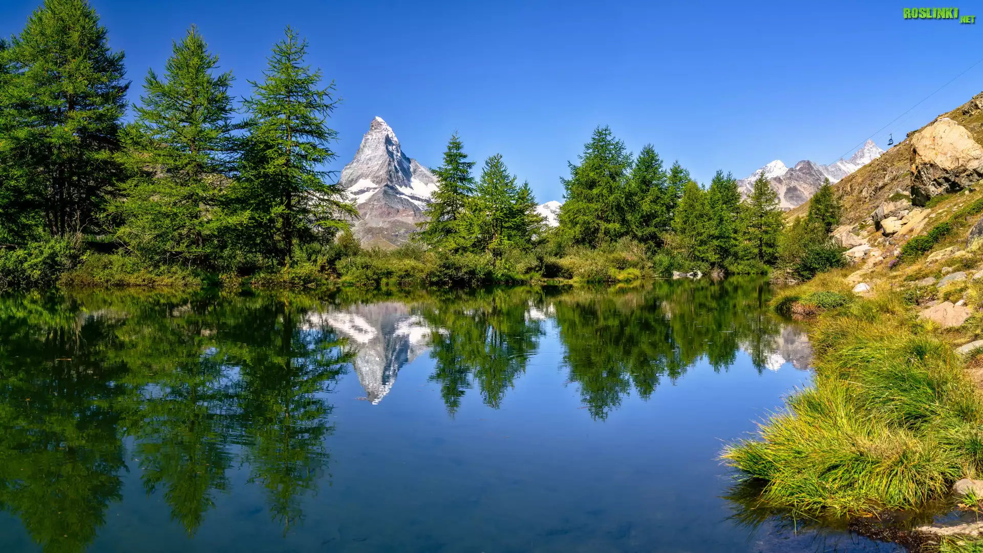 Szwajcaria, Góry, Alpy, Szczyt, Matterhorn, Jezioro, Riffelsee, Drzewa