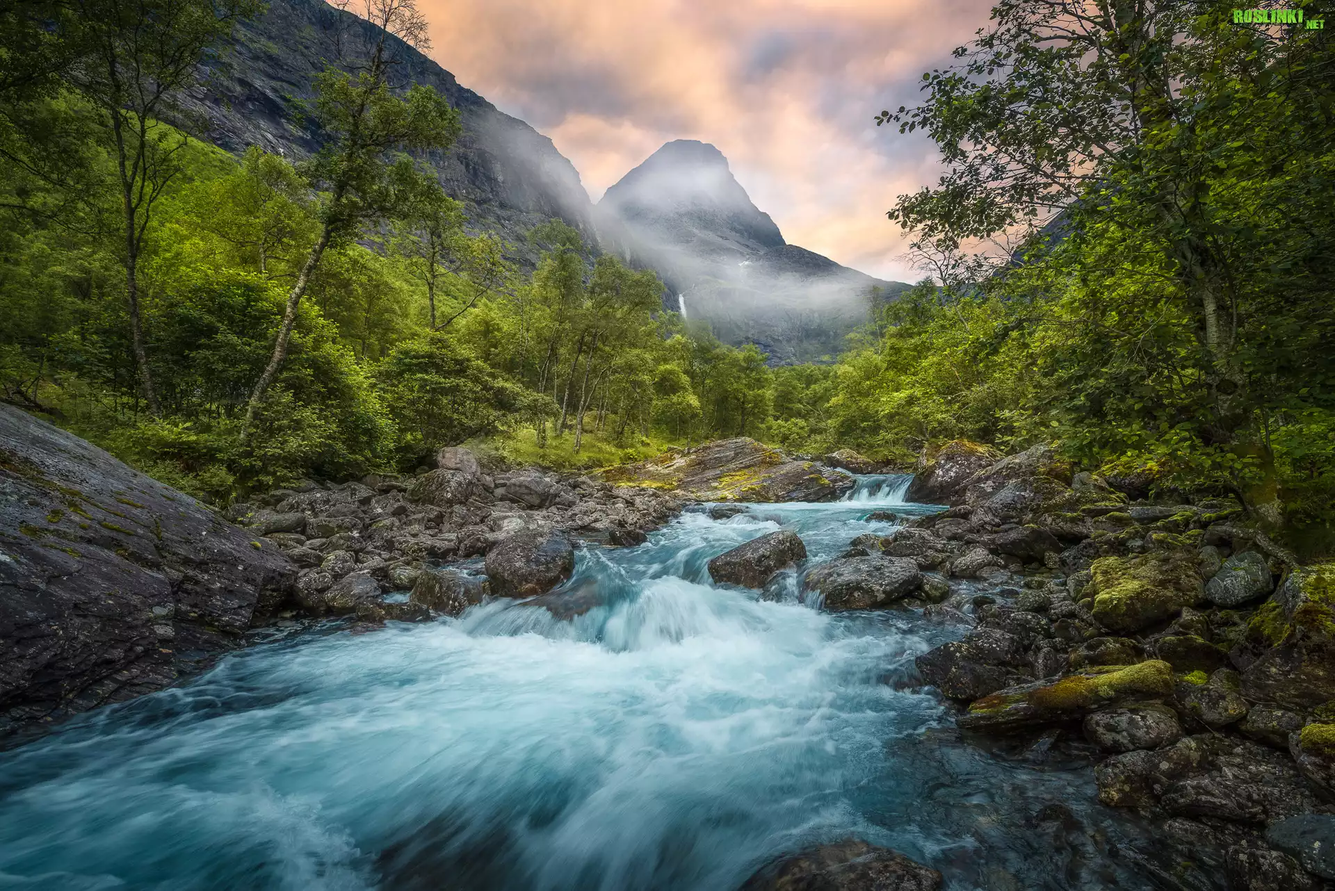 Norwegia, Dolina Romsdalen, Rzeka Rauma, Kamienie, Góry, Drzewa