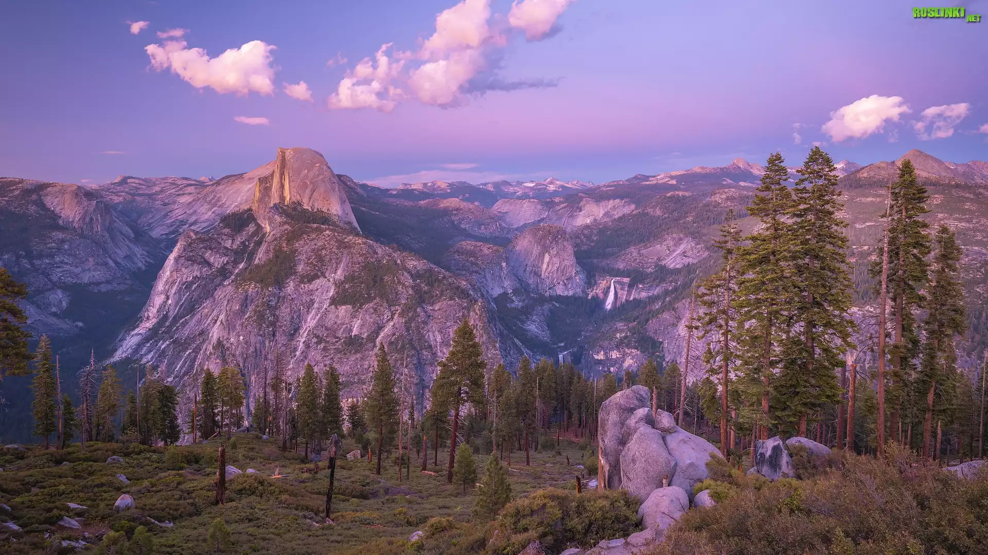 Stany Zjednoczone, Kalifornia, Park Narodowy Yosemite, Drzewa, Góry, Szczyt, Half Dome