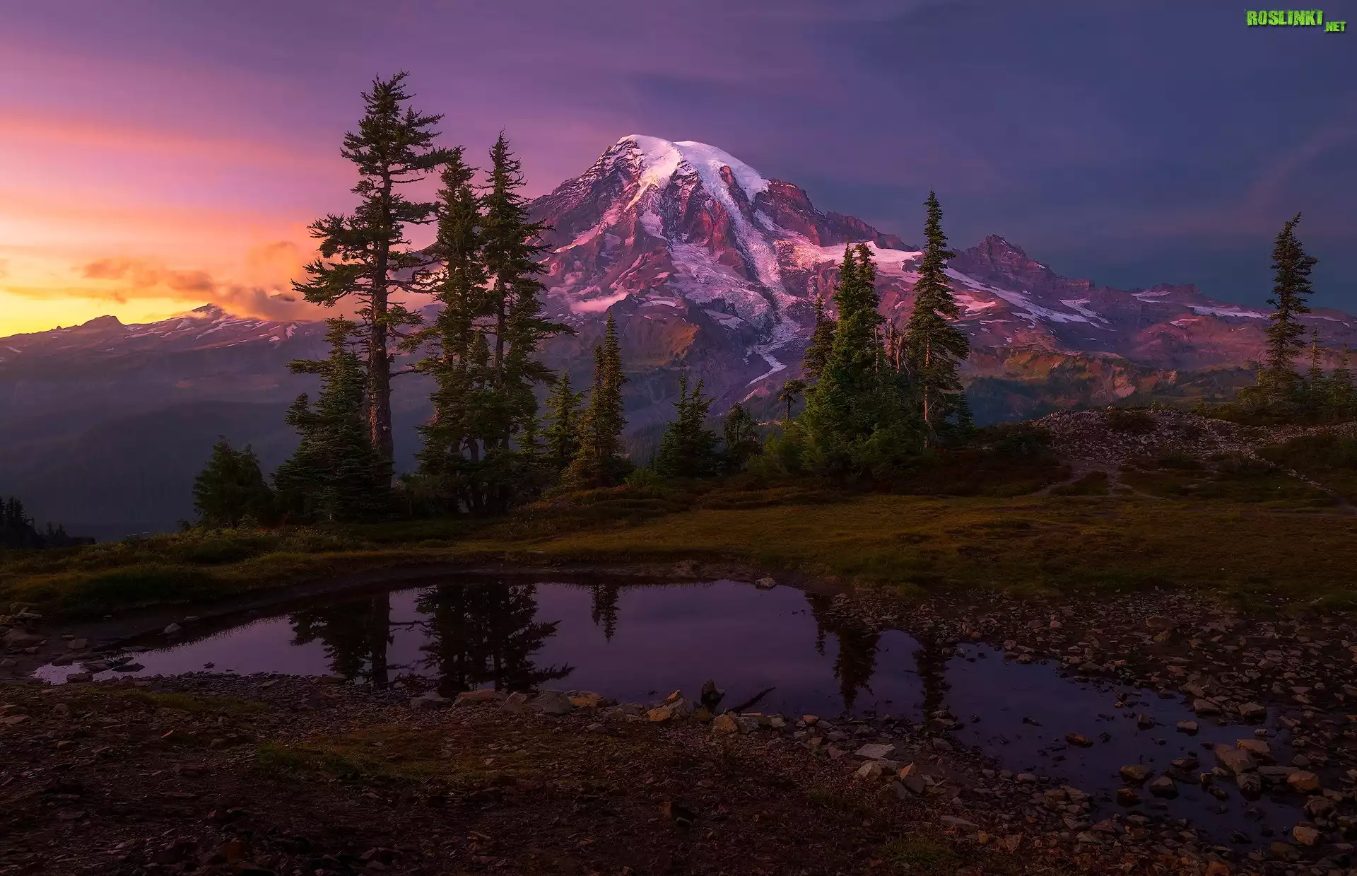Stany Zjednoczone, Waszyngton, Mount Rainier, Las, Niebo, Góry, Drzewa, Kamienie, Zachód słońca