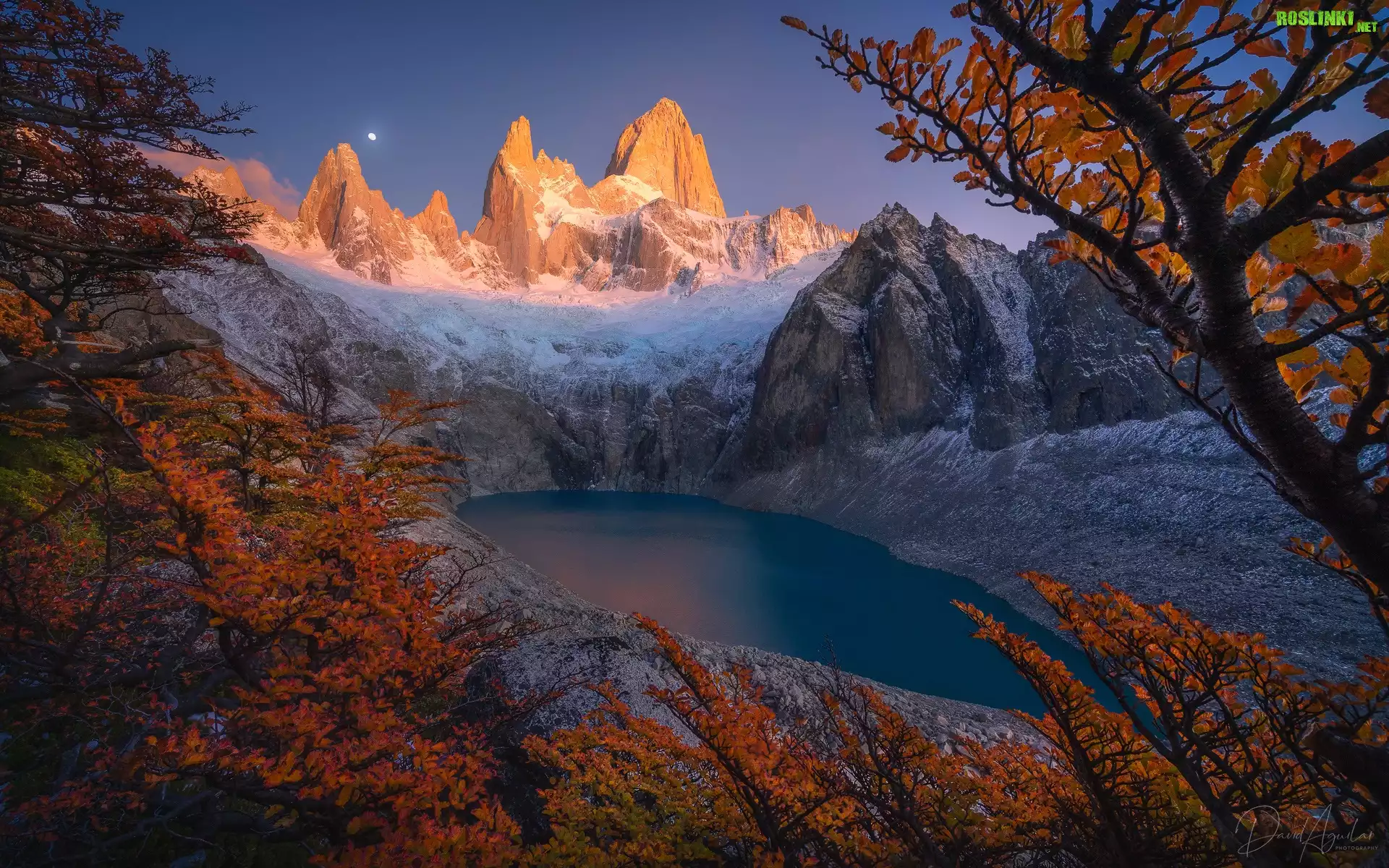 Argentyna, Patagonia, Góry, Szczyt, Fitz Roy, Jezioro, Drzewa