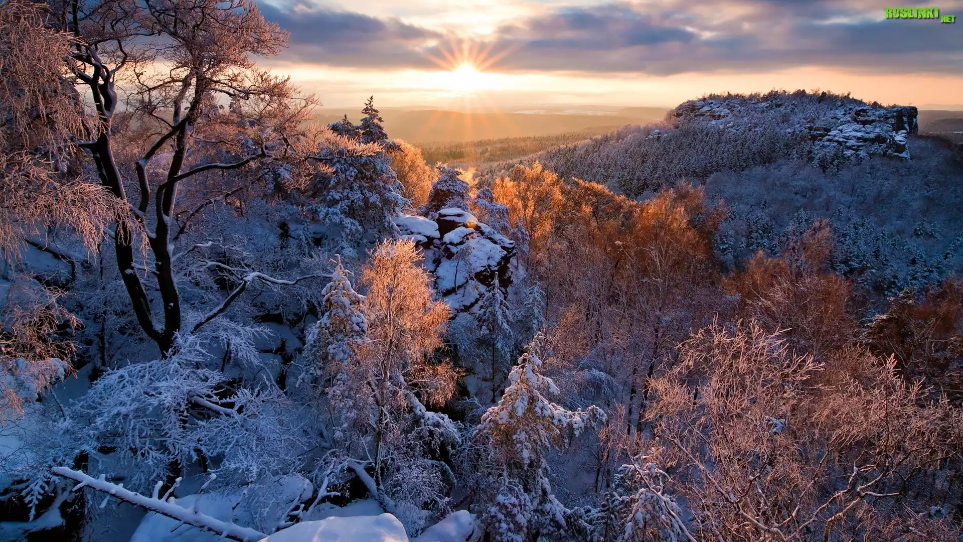 Góry, Drzewa, Zima, Śnieg, Promienie słońca, Skały