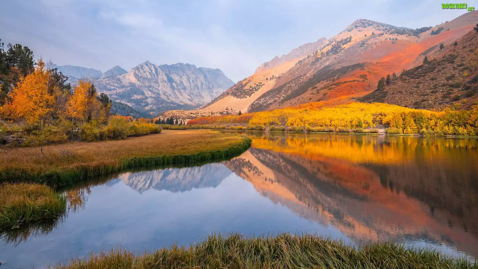 Jesień, Region, Eastern Sierra, Góry, Drzewa, Jezioro, North Lake, Kalifornia, Stany Zjednoczone