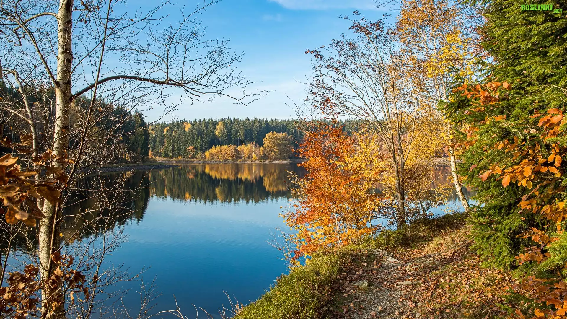 Jesień, Jezioro, Żółte, Drzewa
