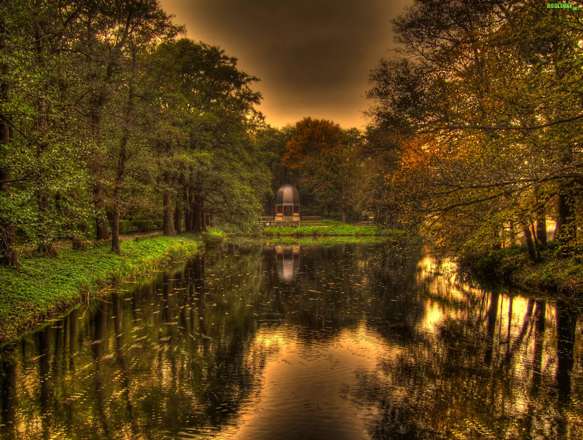 Jezioro, Drzewa, Jesień