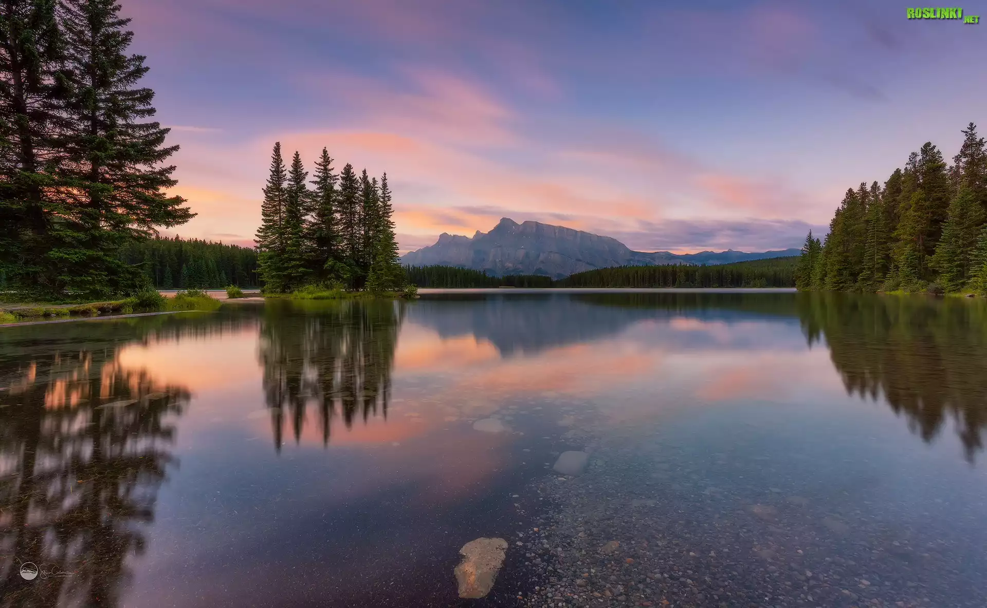 Góry, Góra, Mount Rundle, Jezioro, Two Jack Lake, Drzewa, Park Narodowy Banff, Alberta, Kanada