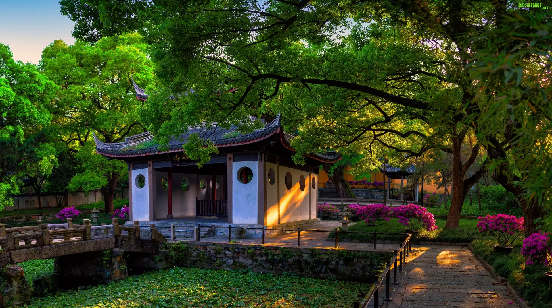 Chiny, Prowincja Jiangsu, Okolice Wuxi, Xihui Park, Altana, Drzewa