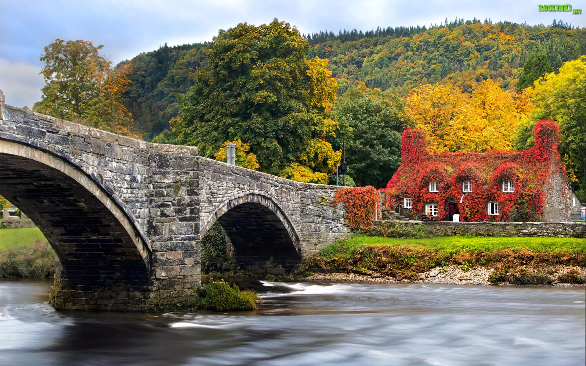Las, Drzewa, Wzgórze, Dom, Most, Drzewa, Rzeka, Conwy River, Jesień, Llanrwst, Walia
