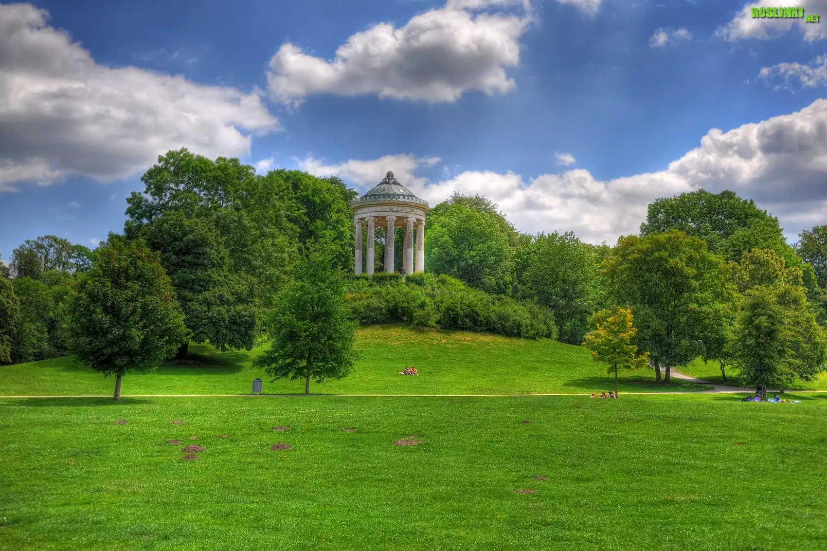 Park, Drzewa, Budowla