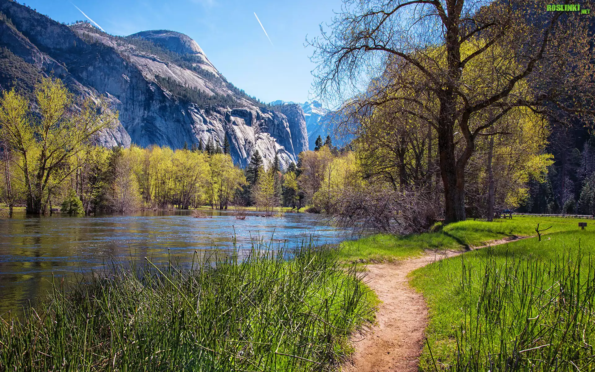 Park Narodowy Yosemite, Góry, Drzewa, Ścieżka, Trawa, Wiosna, Rzeka Merced River, Kalifornia, Stany Zjednoczone