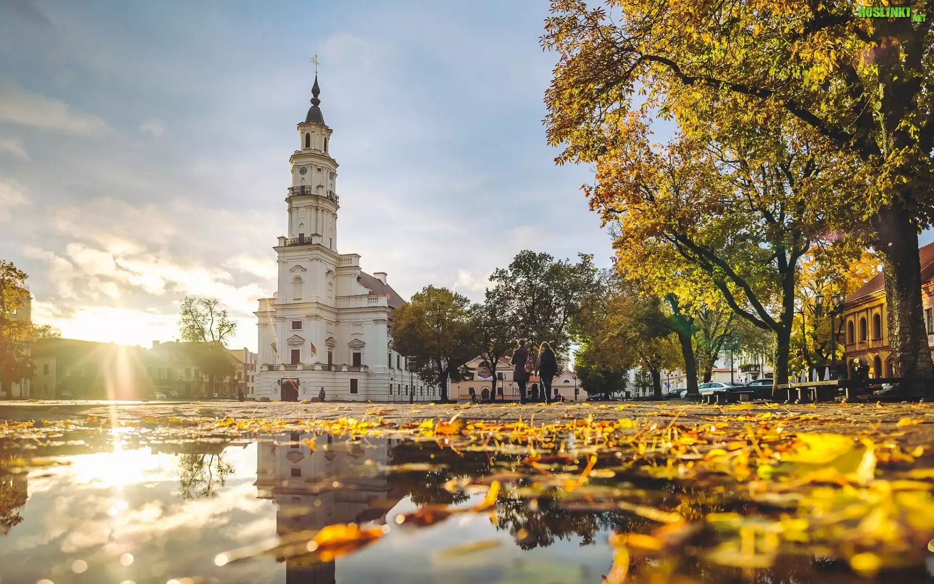 Litwa, Kowno, Plac, Ratusz, Muzeum ceramiki, Jesień, Promienie słońca, Drzewa, Liście, Kałuża