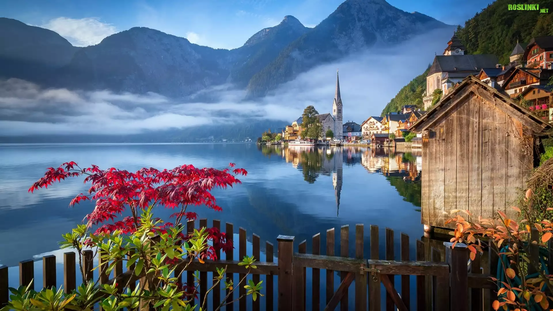 Austria, Hallstatt, Jezioro Hallstättersee, Domy, Góry, Kościół, Mgła, Drzewa