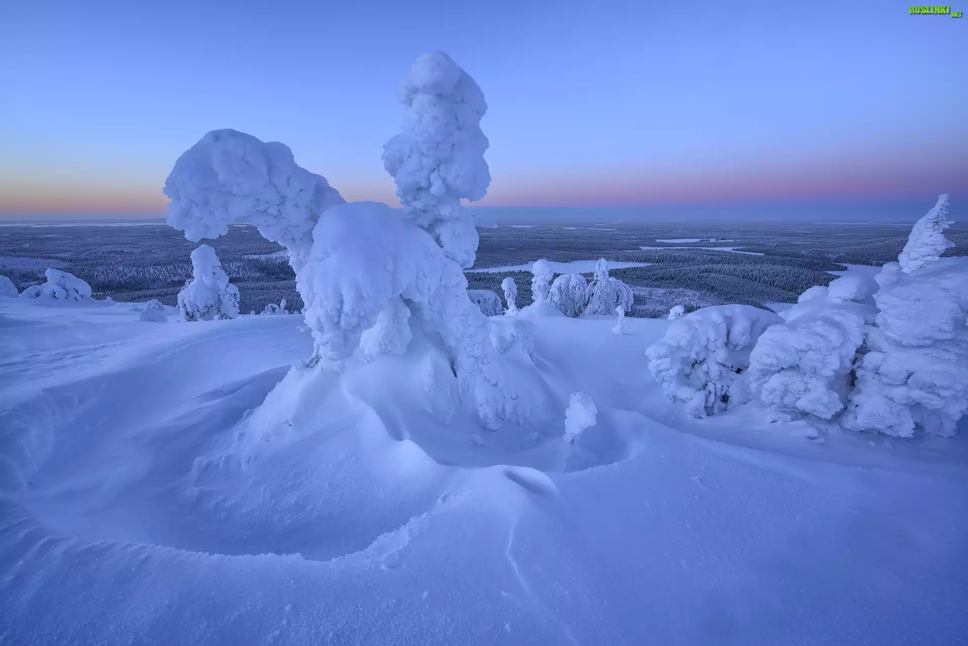  Zima, Drzewa, Mgła, Wschód słońca, Wzgórze, Rezerwat Valtavaara, Laponia, Finlandia