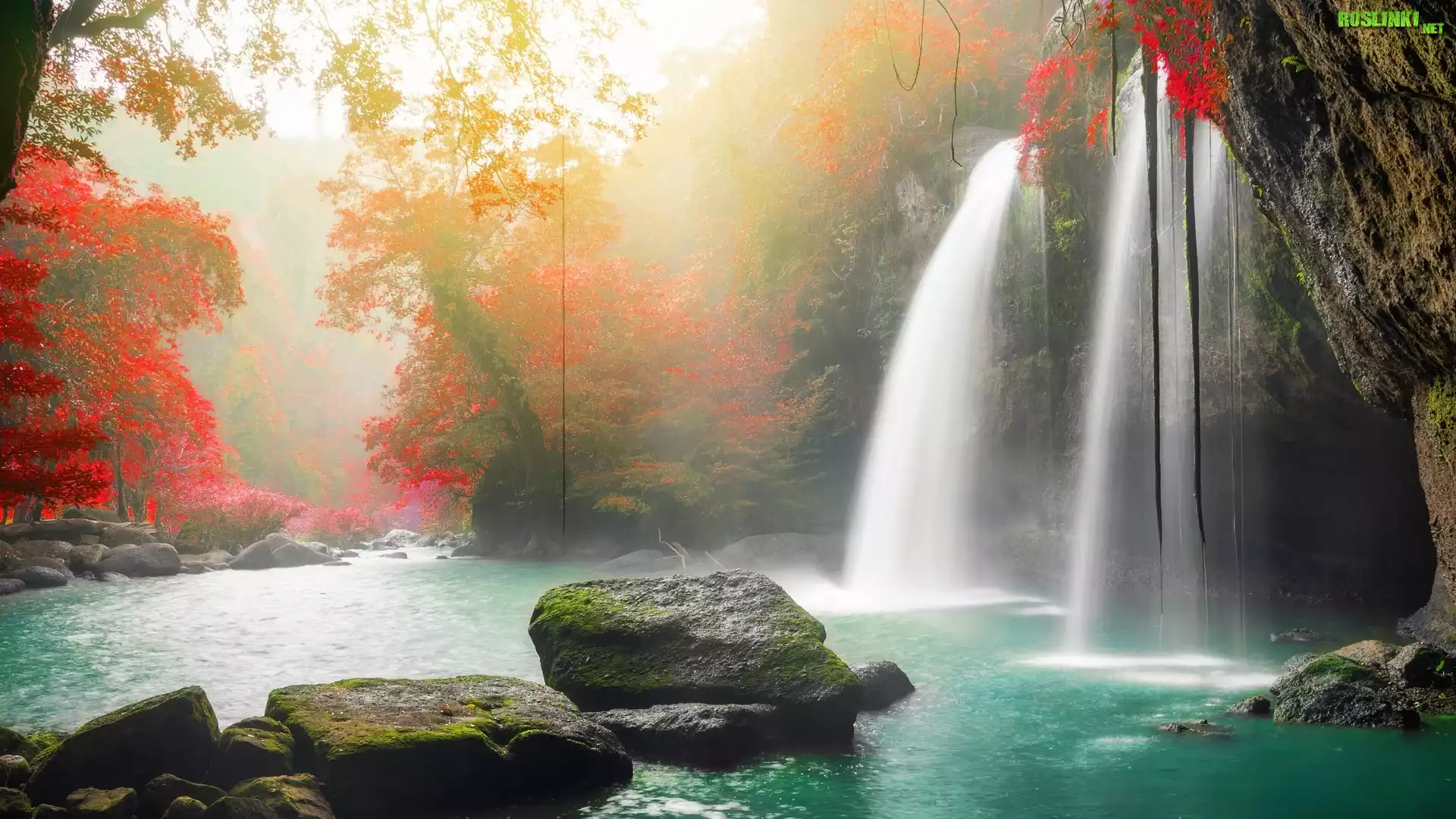 Tajlandia, Park Narodowy Khau Yai, Wodospad Haew Suwat, Kamienie, Drzewa