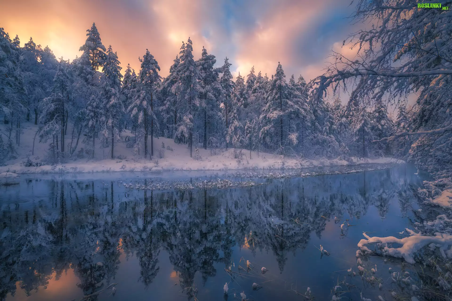 Norwegia, Gmina Ringerike, Śnieg, Zima, Zachód słońca, Jezioro, Las, Drzewa
