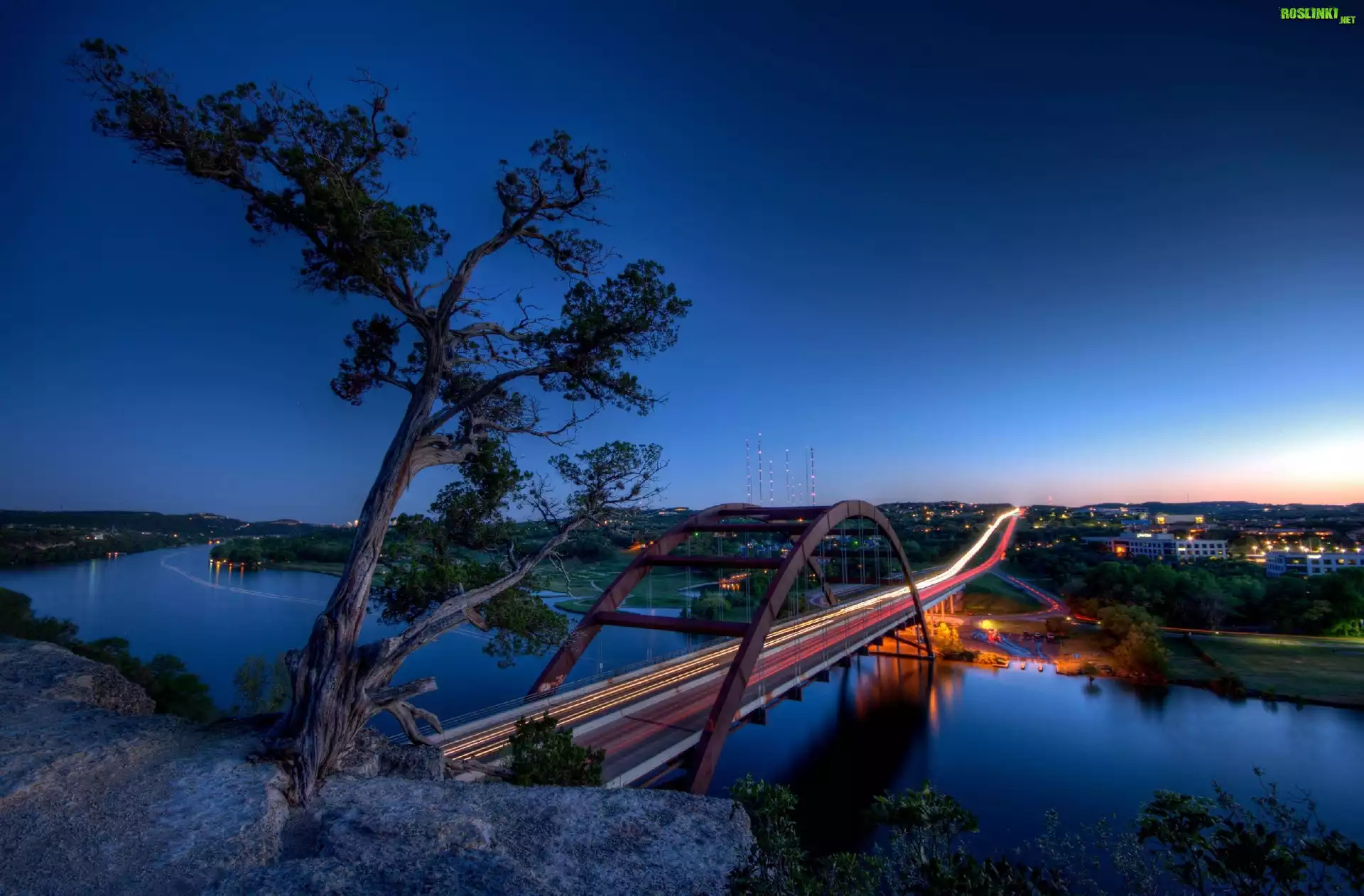 Drzewo, Most, Rzeka, Noc