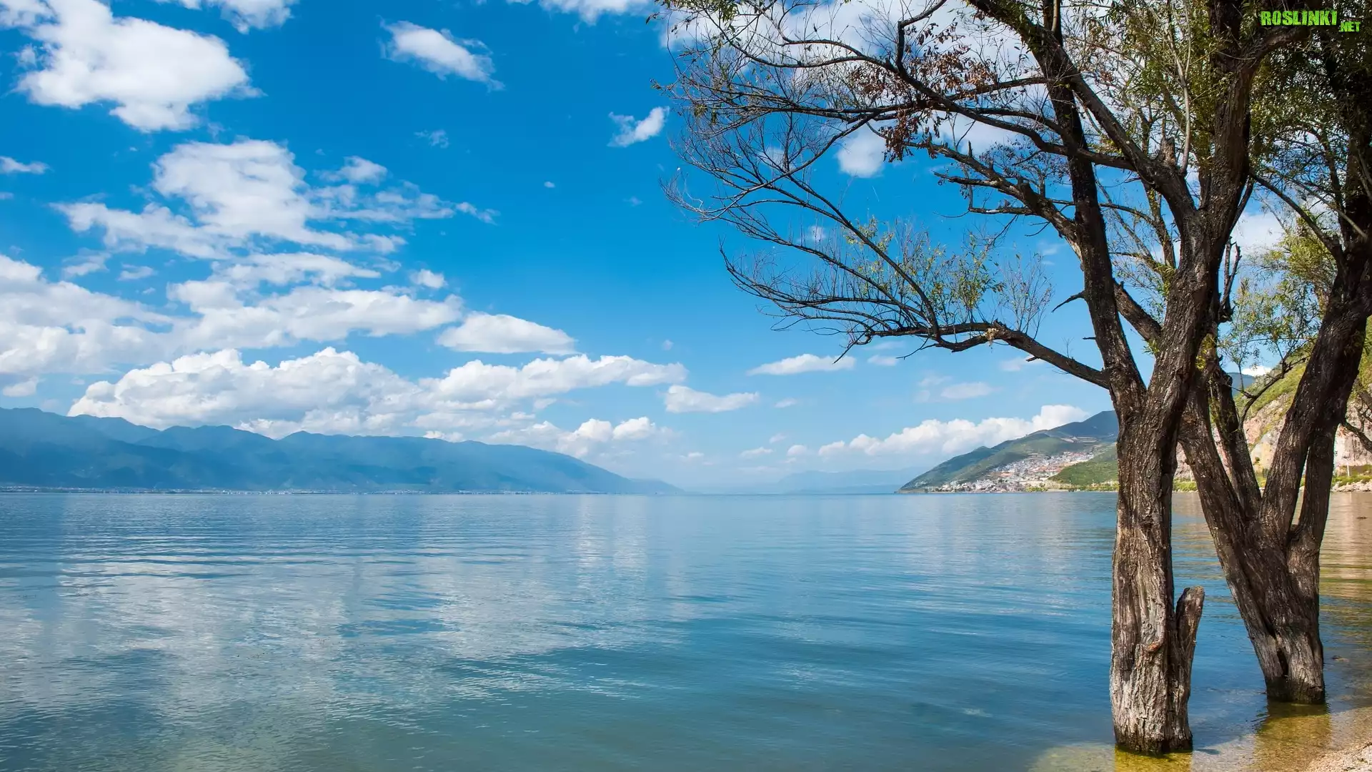 Drzewa, Jezioro, Er Hai, Erhai Lake, Góry, Chmury, Prowincja Junnan, Chiny