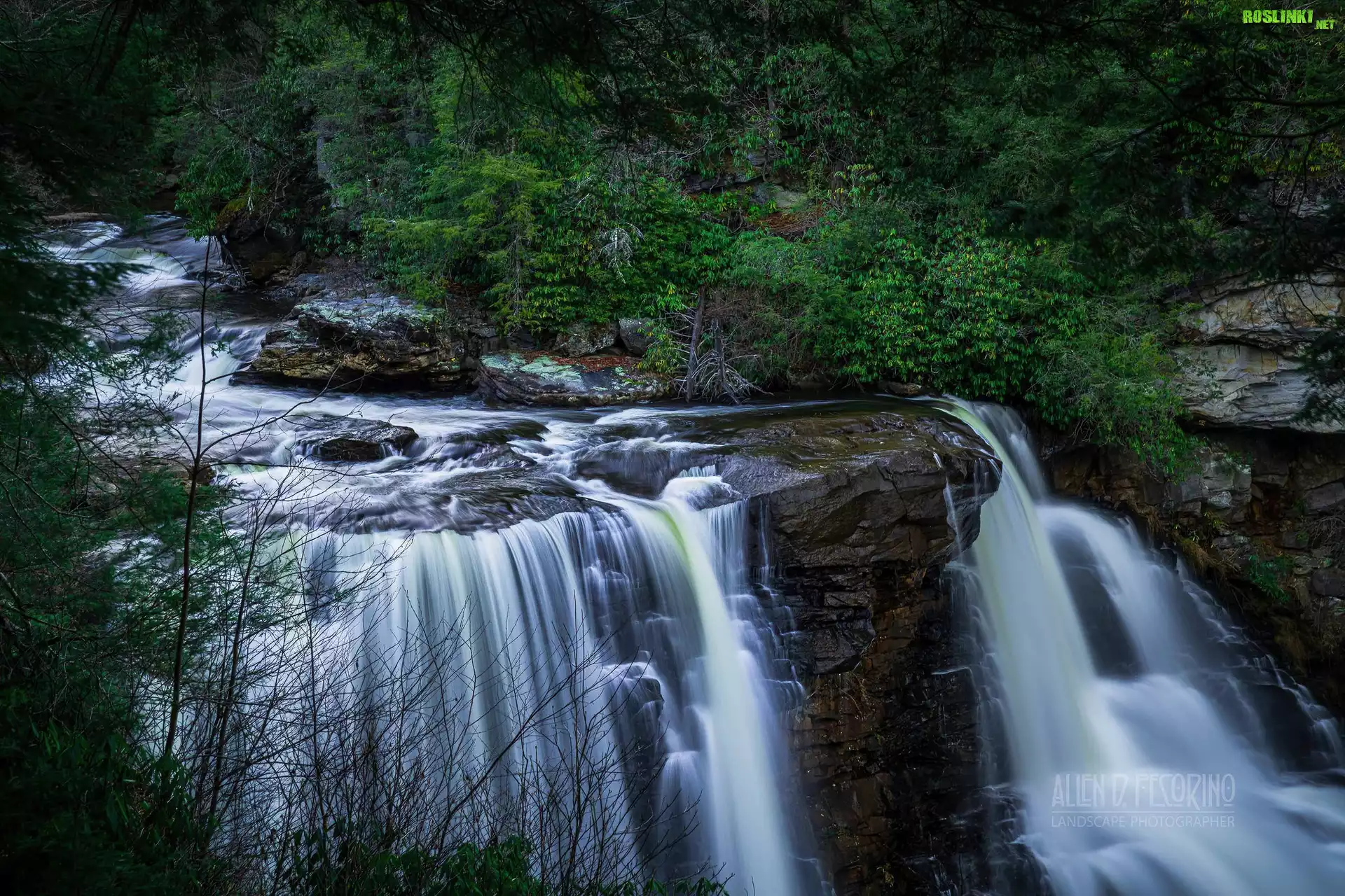 Stany Zjednoczone, Wirginia Zachodnia, Park Stanowy Blackwater Falls, Wodospad, Blackwater Falls, Kaskada, Skały, Drzewa, Roślinność